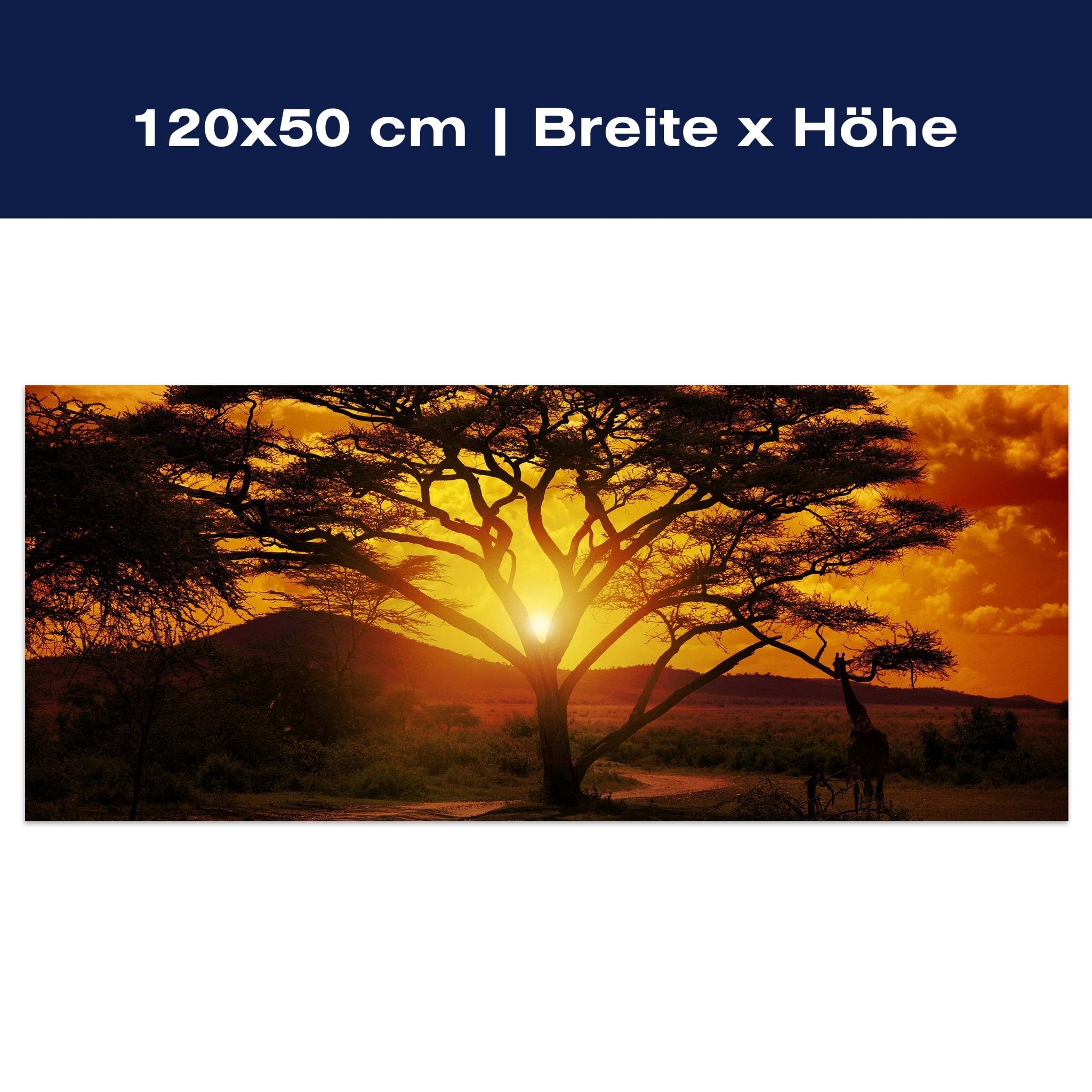 Leinwandbild Afrika Sonnenuntergang M0001