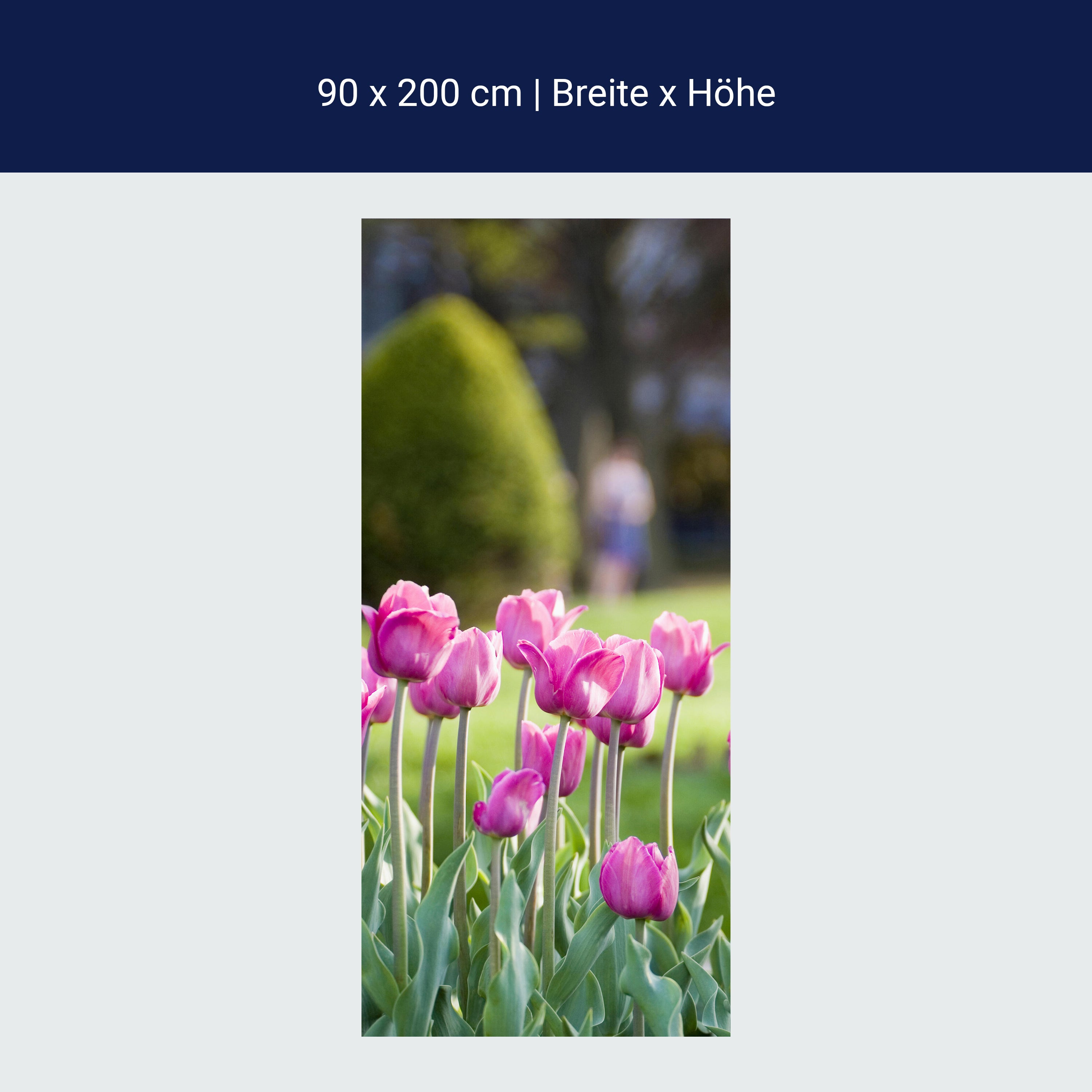 Türtapete Pinke Tulpen M0016