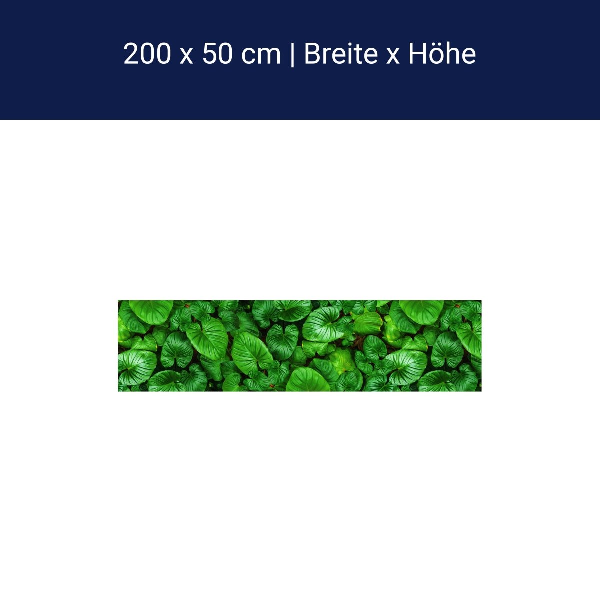 Panorama-Fototapete Grüne Blätter M0130