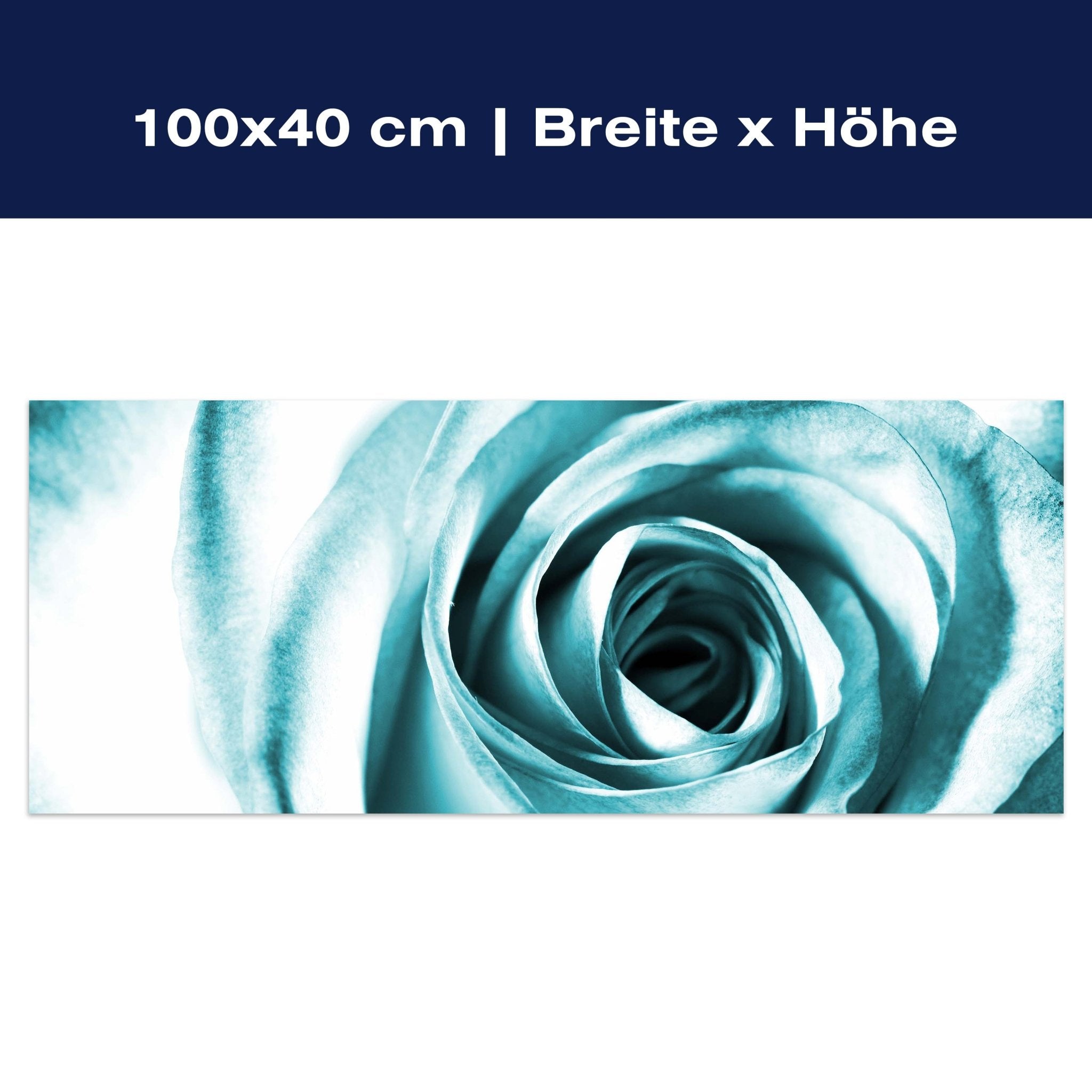 Leinwandbild Blaue Rose Blüte M0227