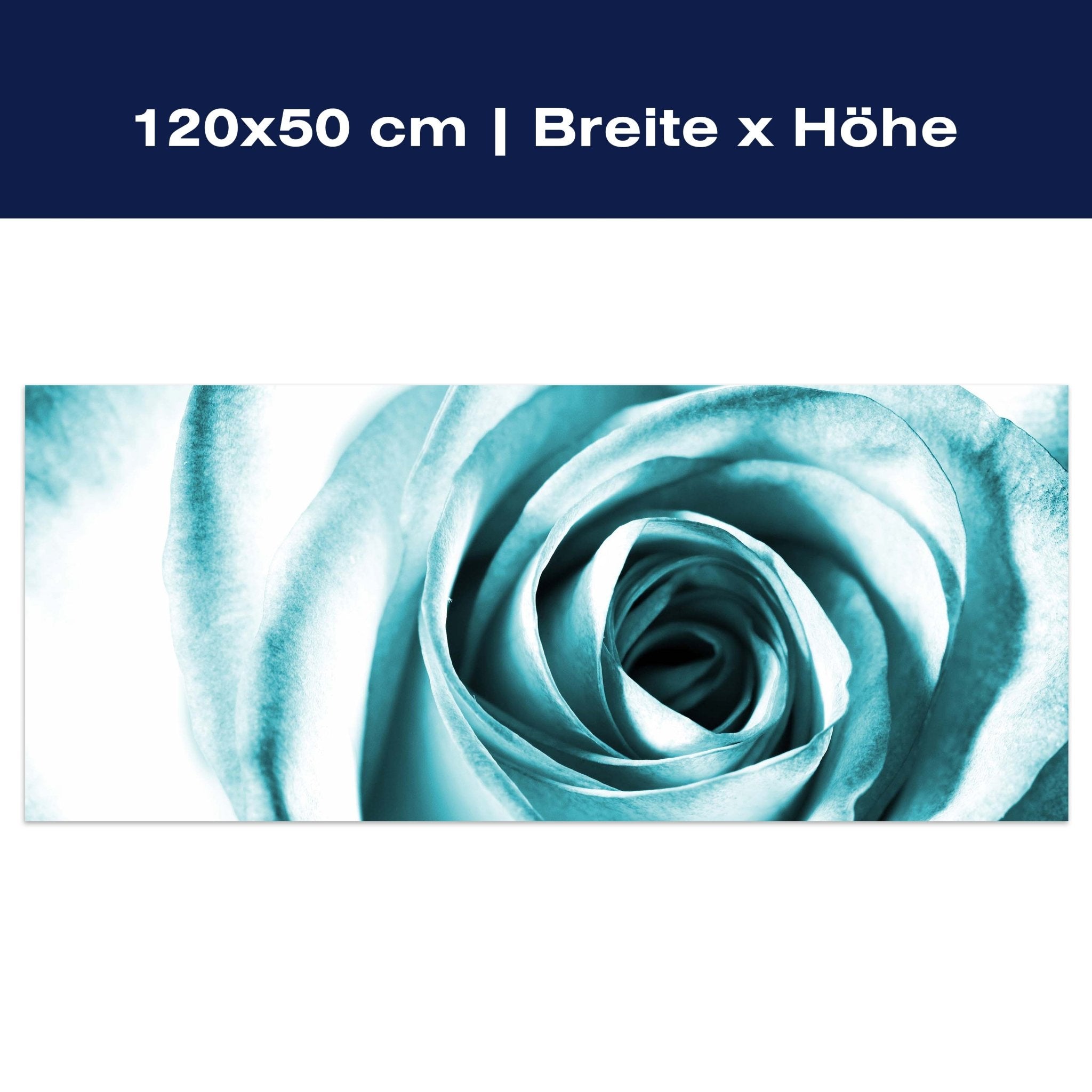 Leinwandbild Blaue Rose Blüte M0227