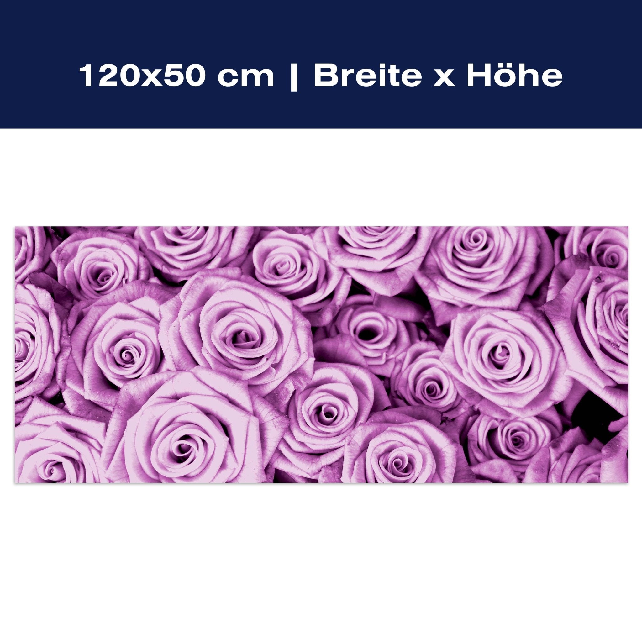 Leinwandbild violettes Rosenfeld Blüte M0232