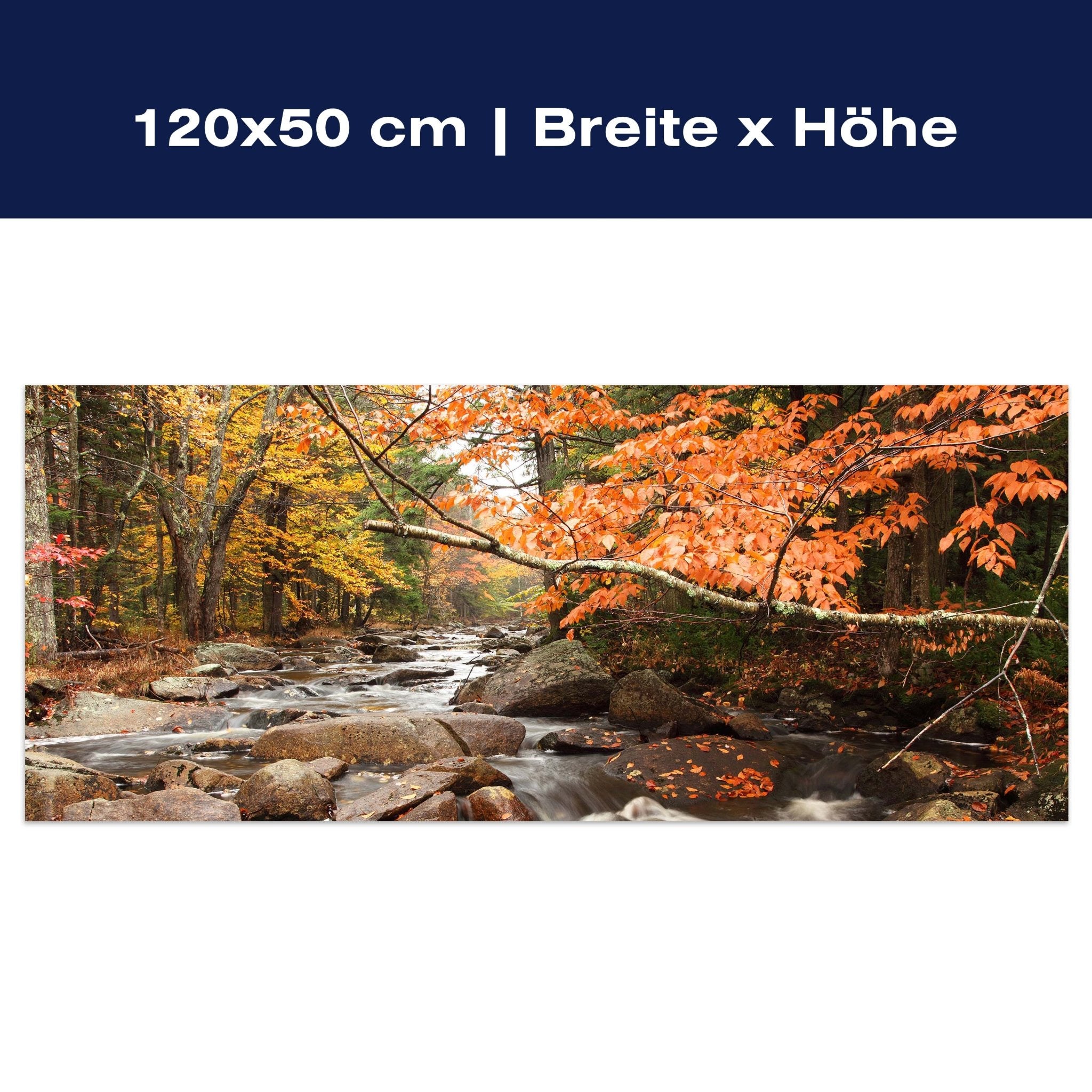 Leinwandbild Fluss im Herbst M0381