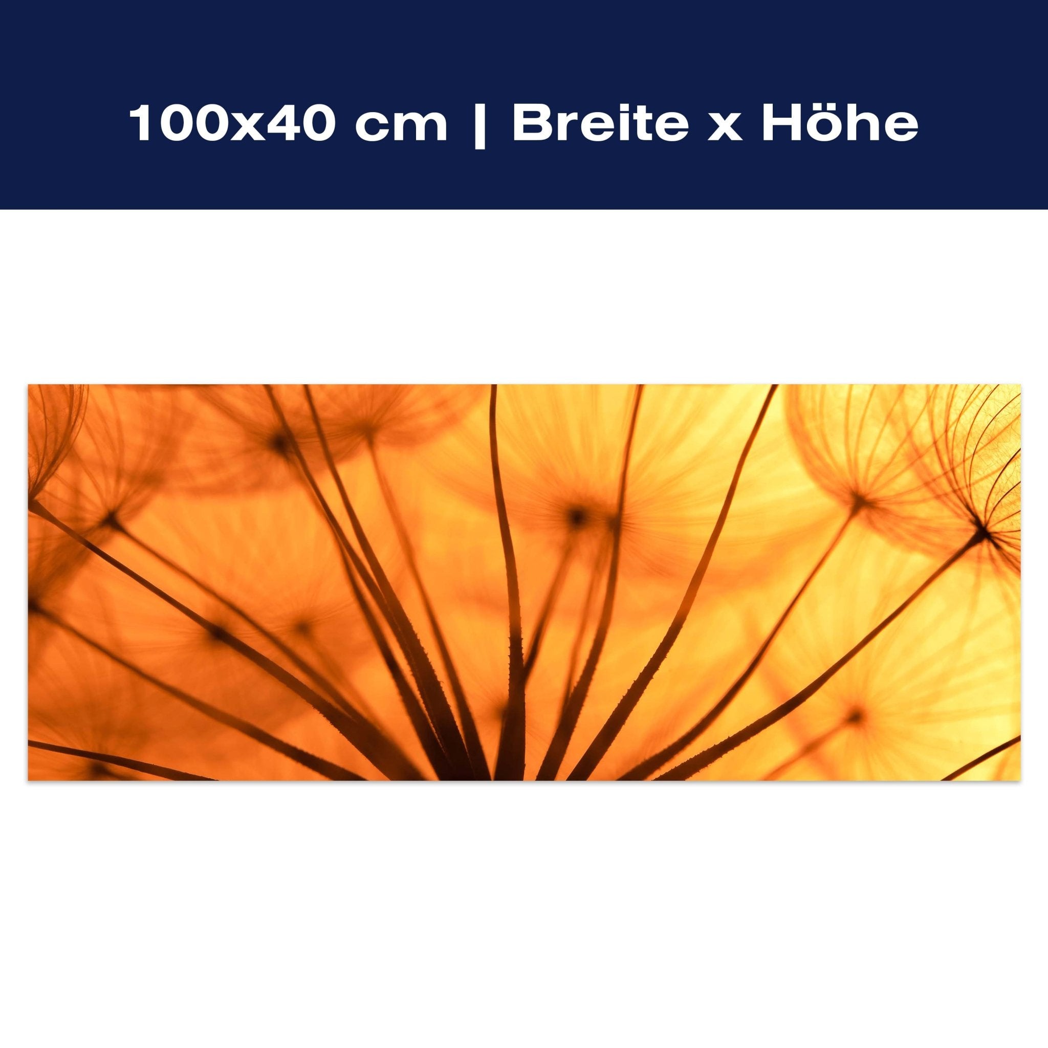 Leinwandbild Pusteblume Orange M0390