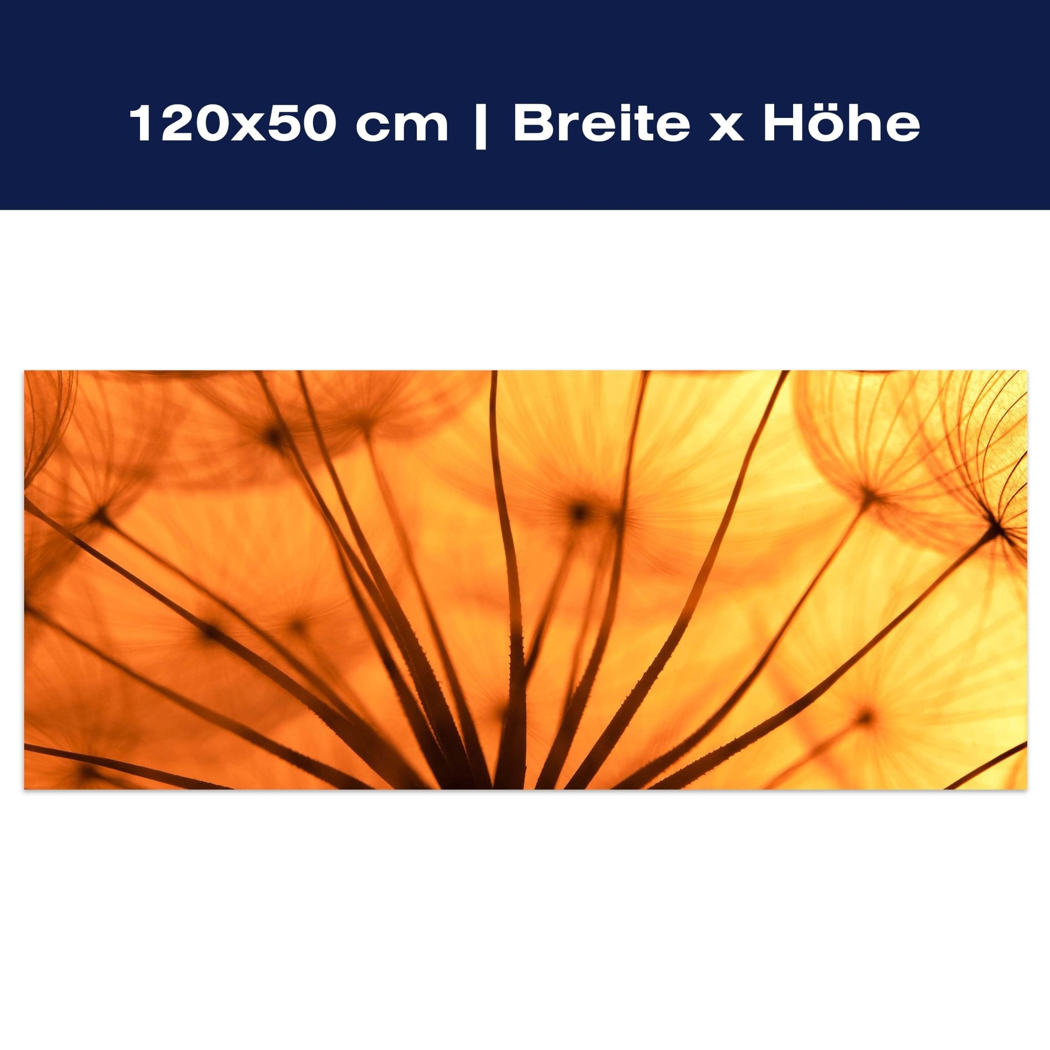 Leinwandbild Pusteblume Orange M0390