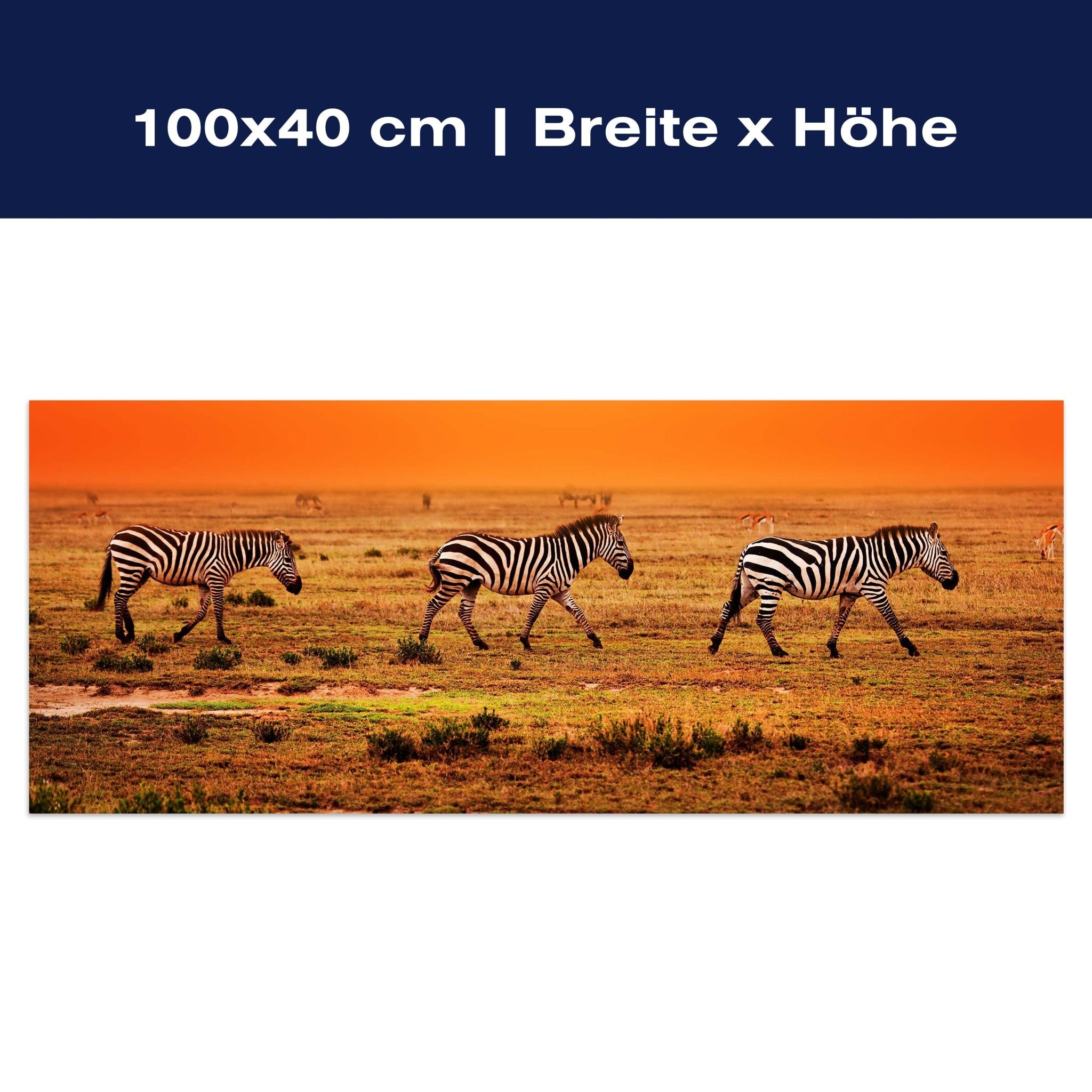 Leinwandbild Zebras in der Savanne M0403