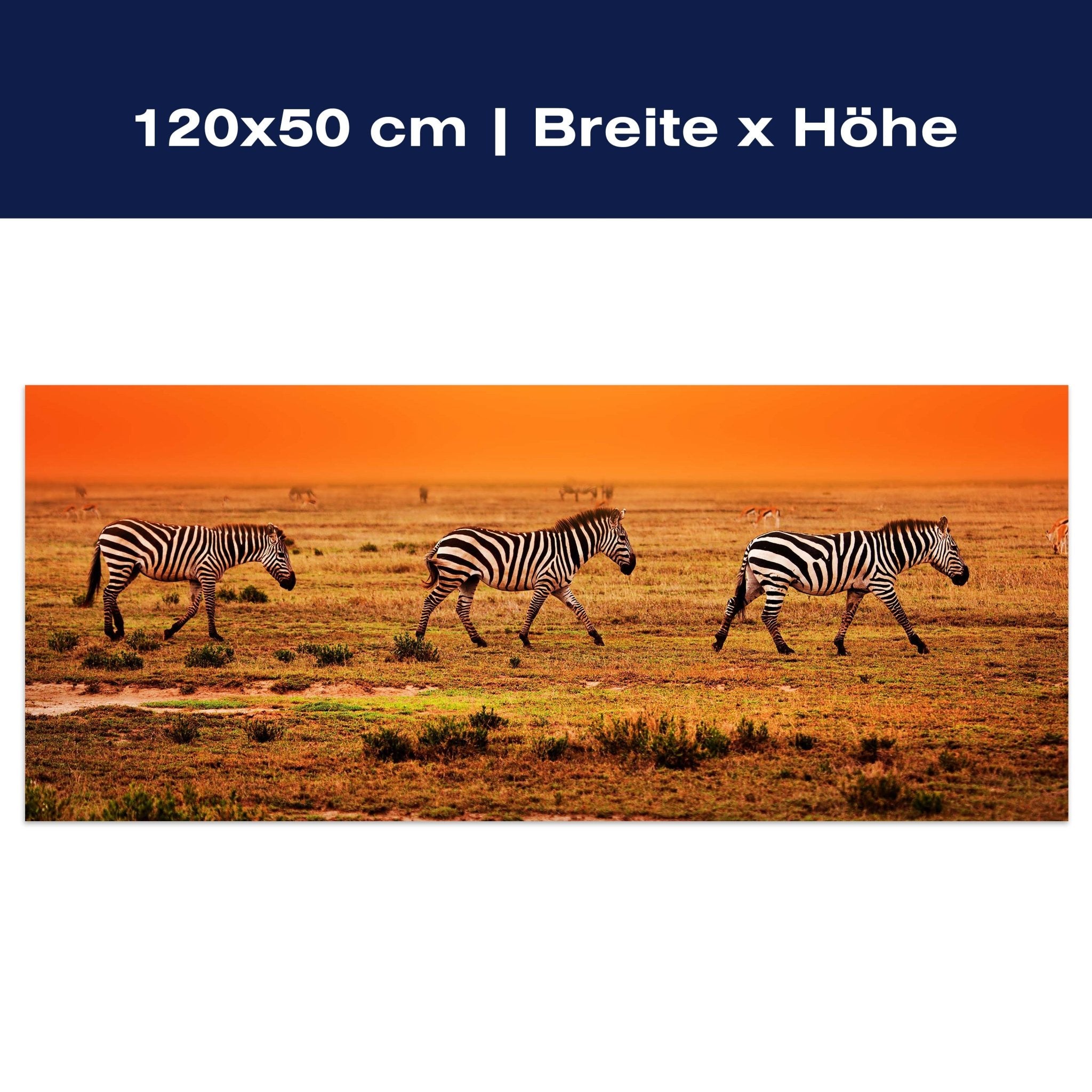 Leinwandbild Zebras in der Savanne M0403