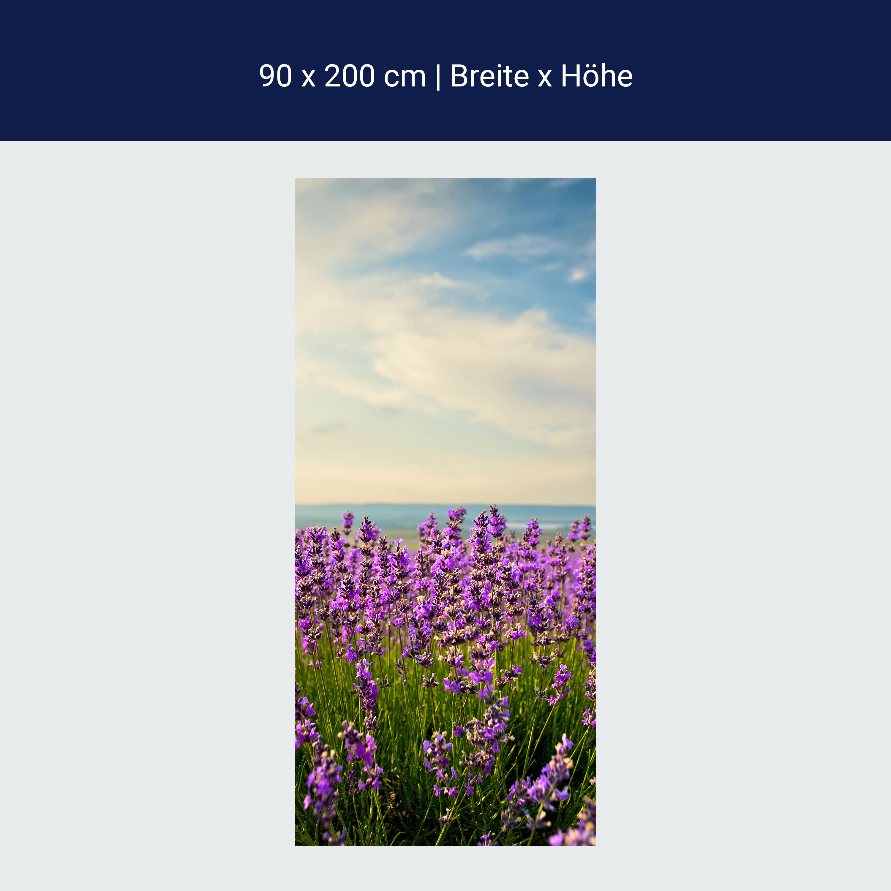 Türtapete Lavendel M0411