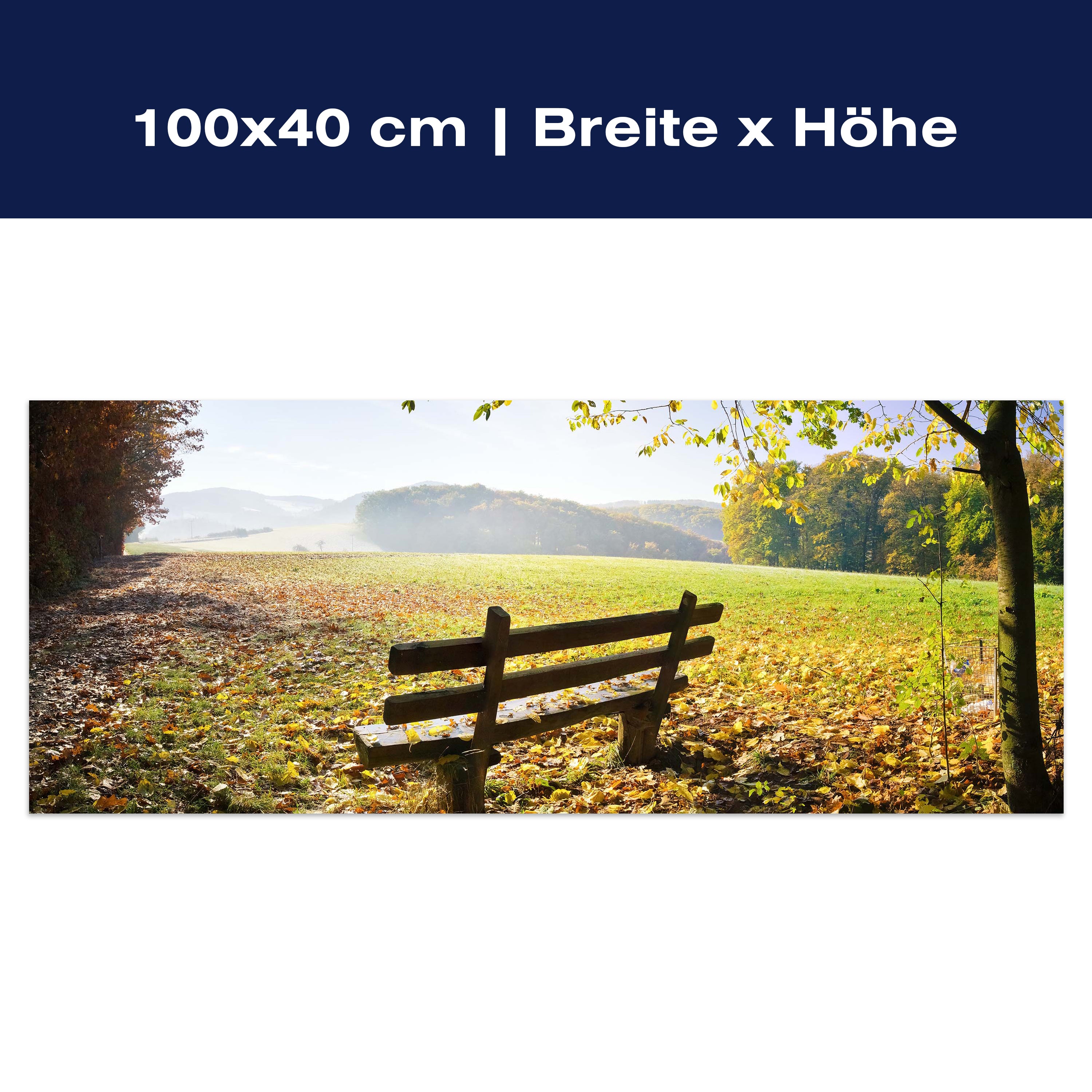 Leinwandbild Parkbank im Herbst M0415