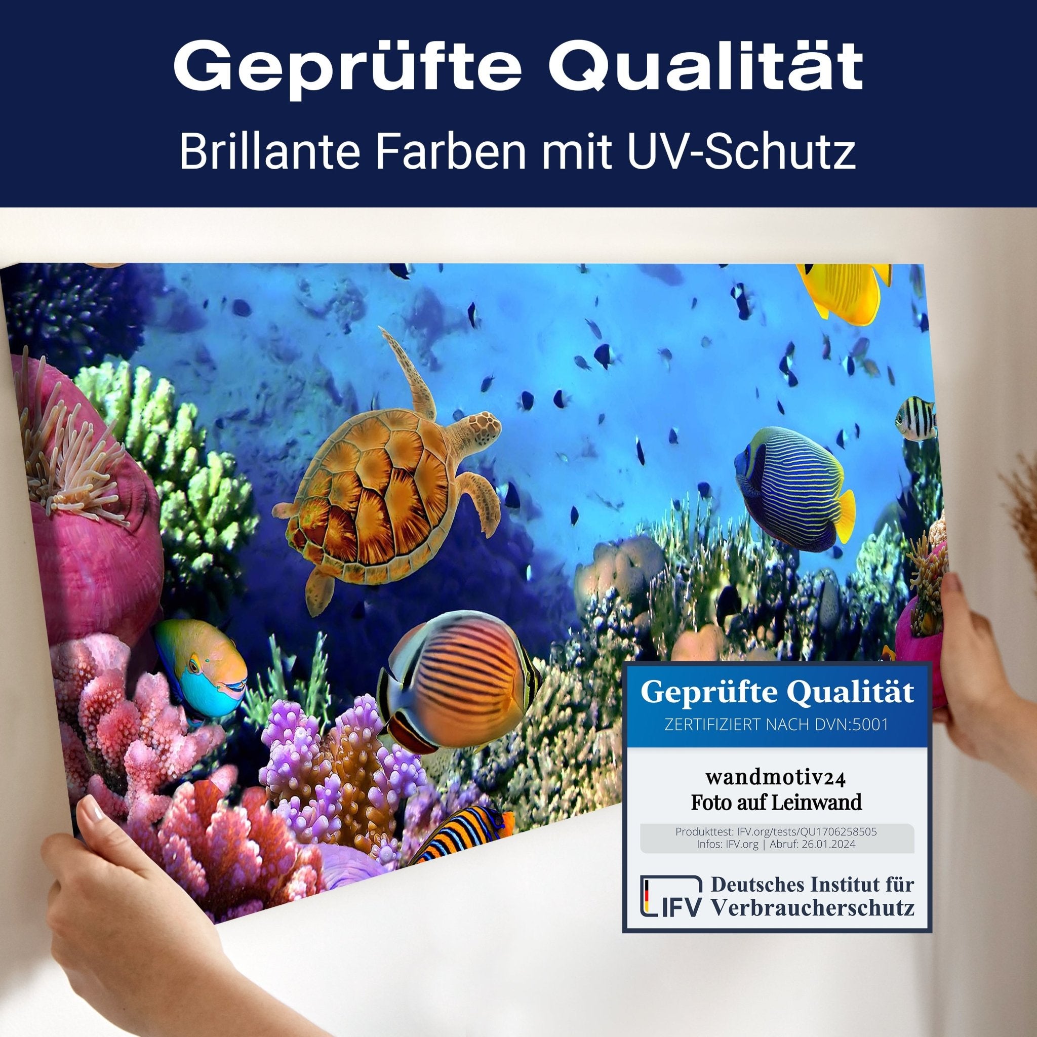 Leinwandbild Korallenriff mit Fischen M0480 kaufen - Bild 4