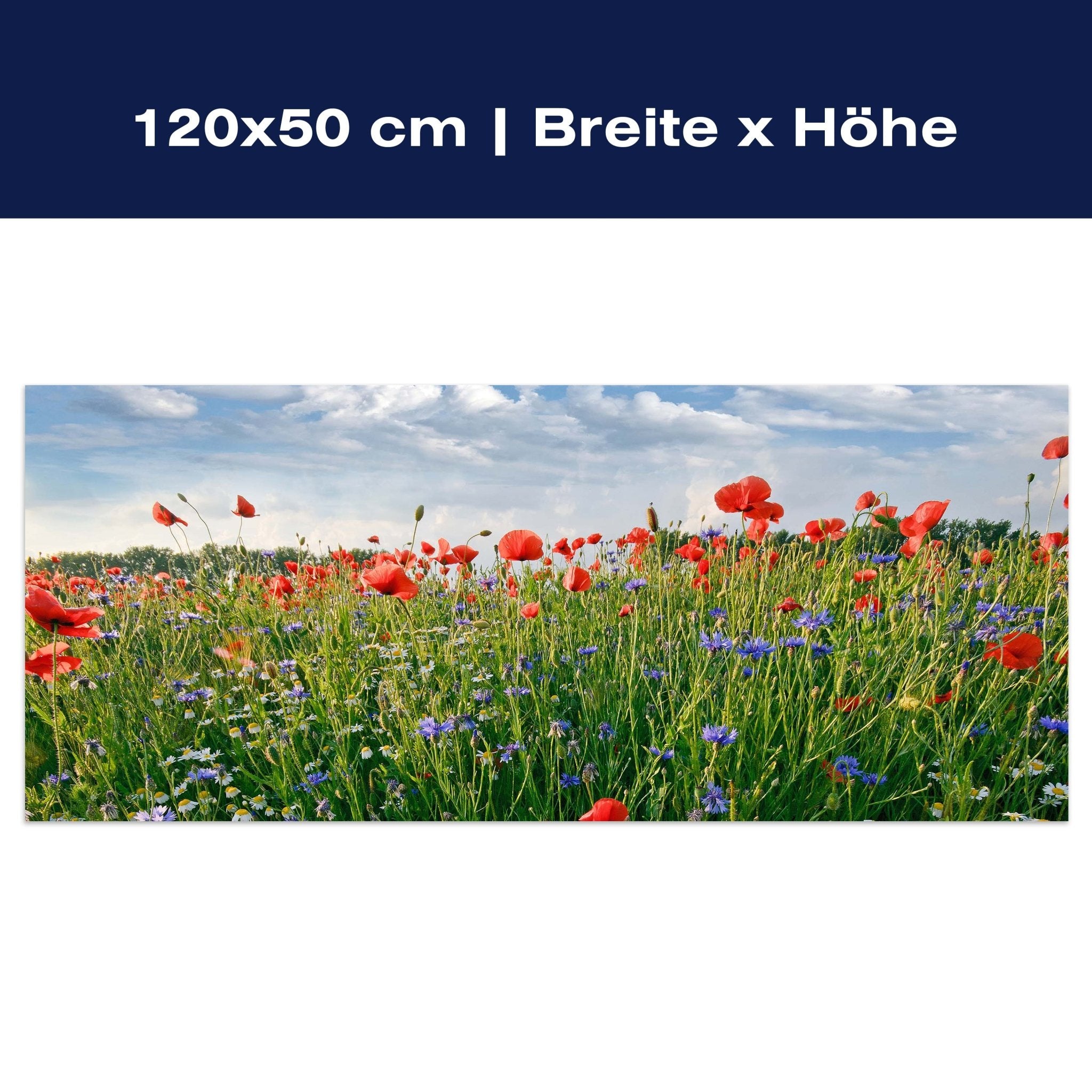 Leinwandbild Blumenwiese M0493