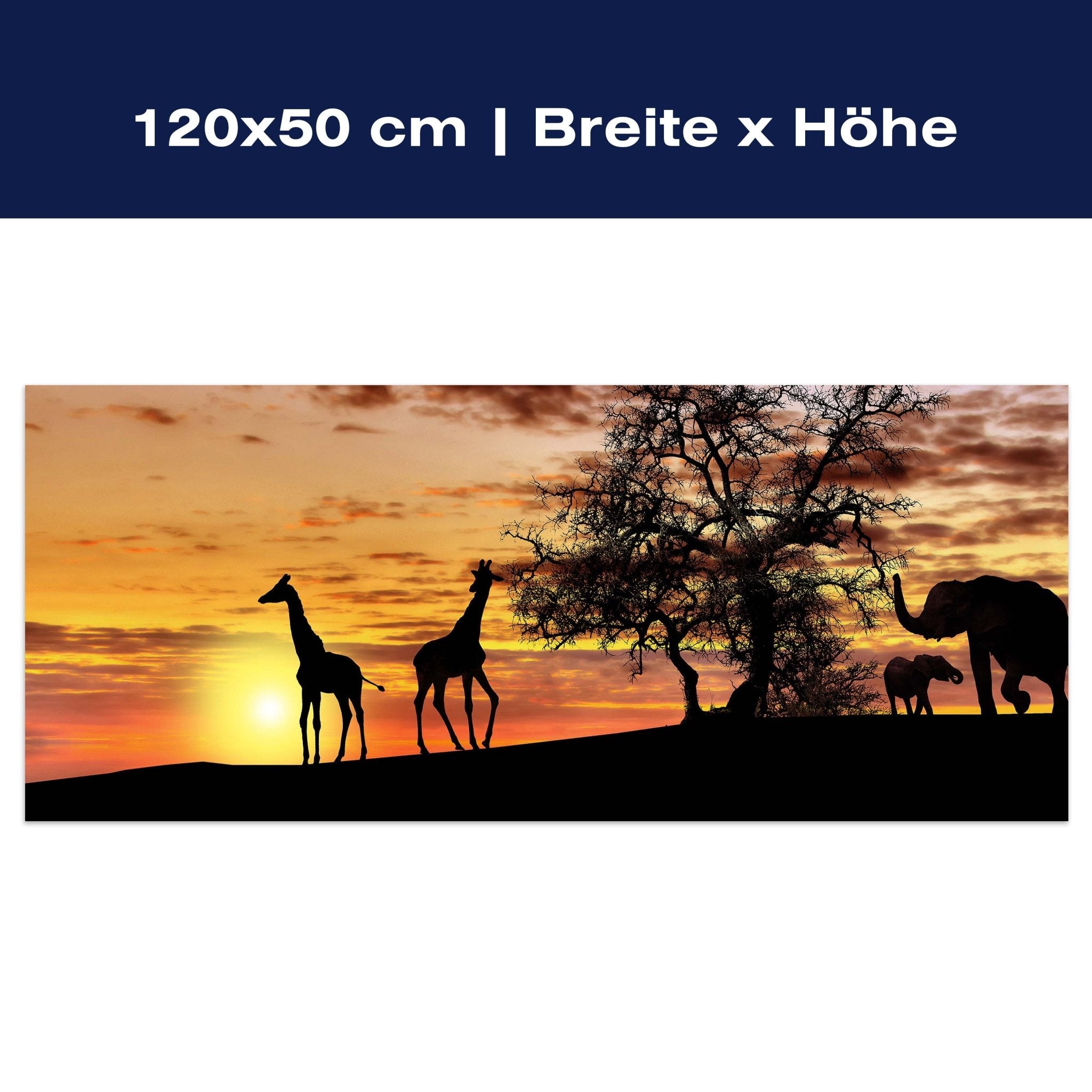 Leinwandbild Tiere im Abendrot M0518