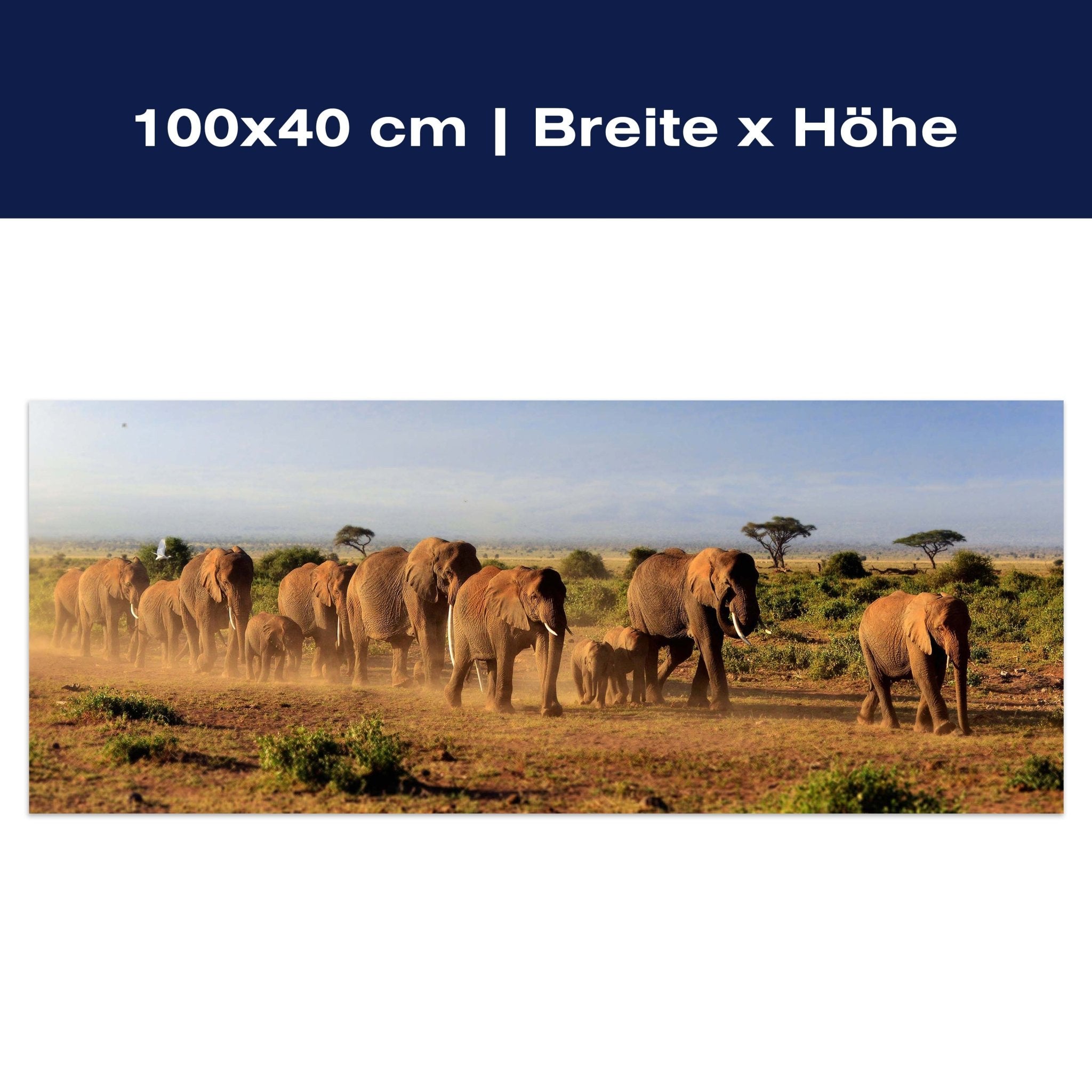 Leinwandbild Elefantenherde am Kilimandscharo M0522