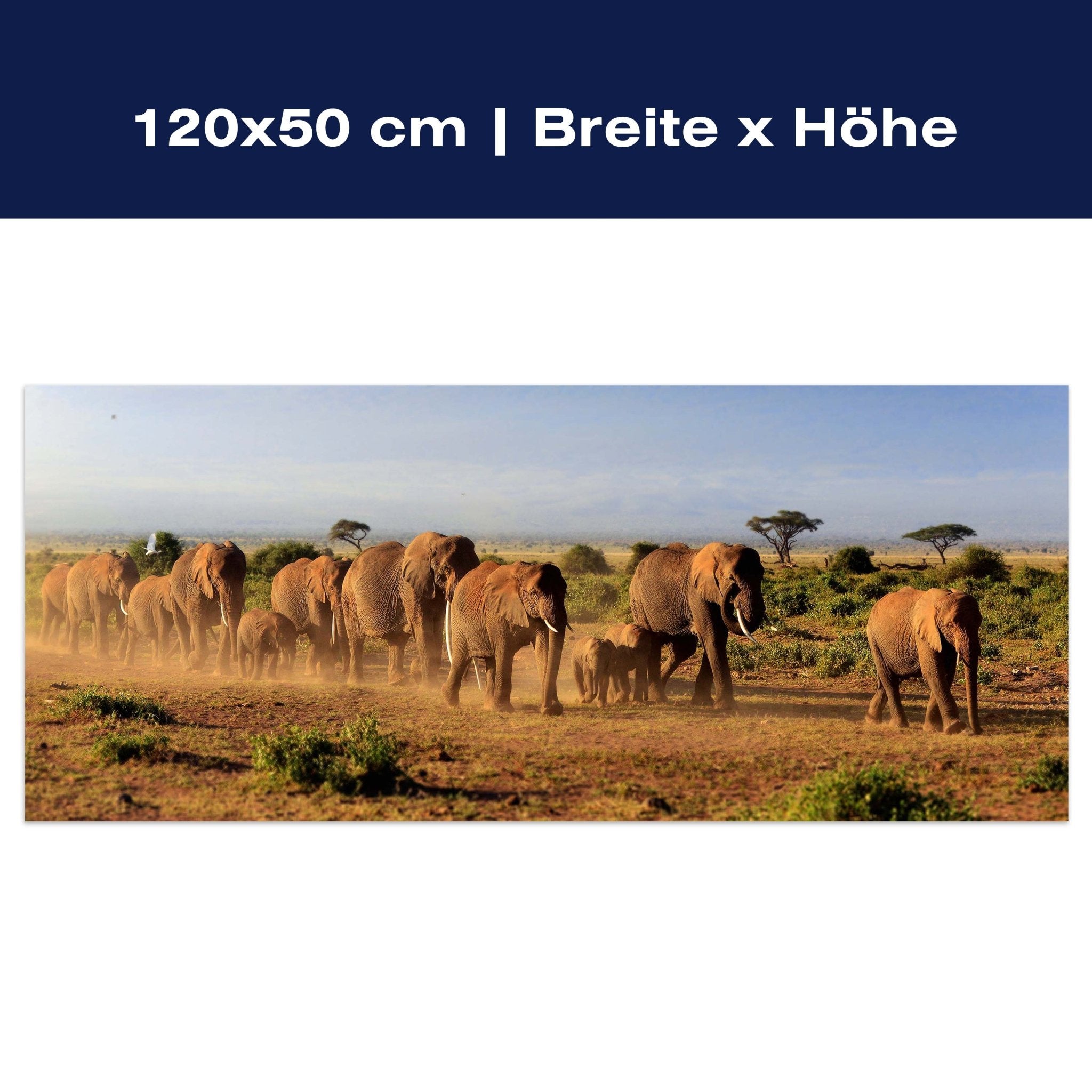 Leinwandbild Elefantenherde am Kilimandscharo M0522