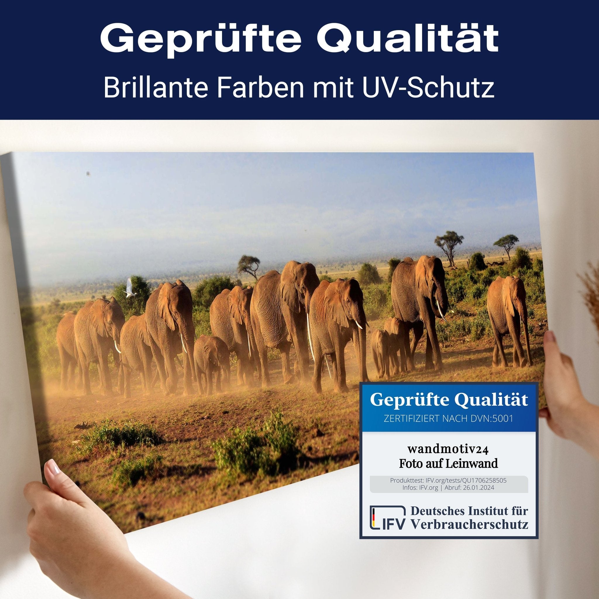 Leinwandbild Elefantenherde am Kilimandscharo M0522 kaufen - Bild 4