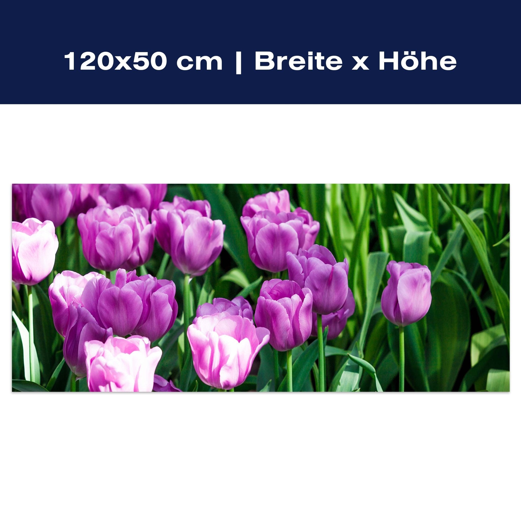 Leinwandbild Blütenblatt M0554