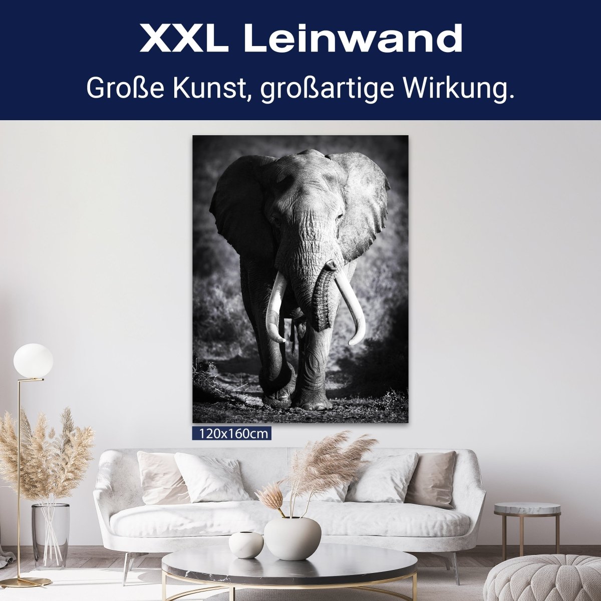 Leinwandbild Tiere, Elefant M0555 kaufen - Bild 9