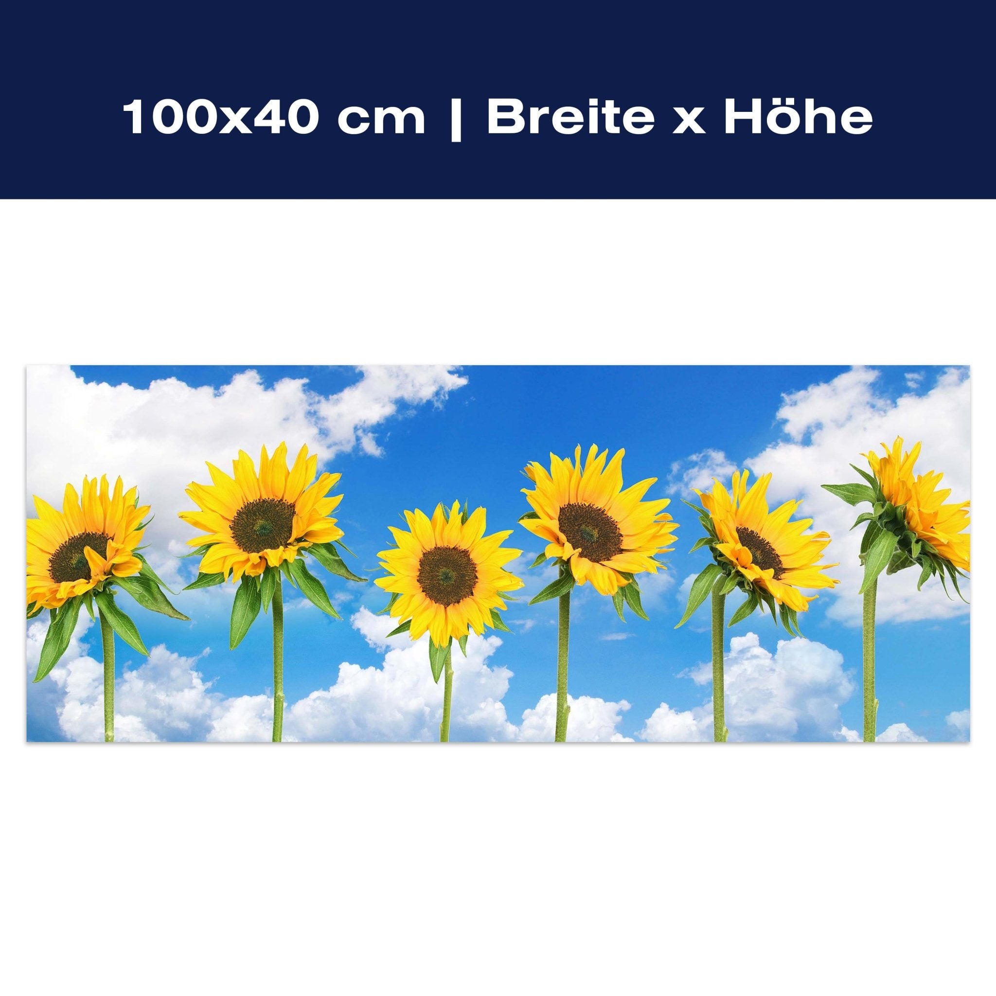 Leinwandbild Sonnenblumen M0705