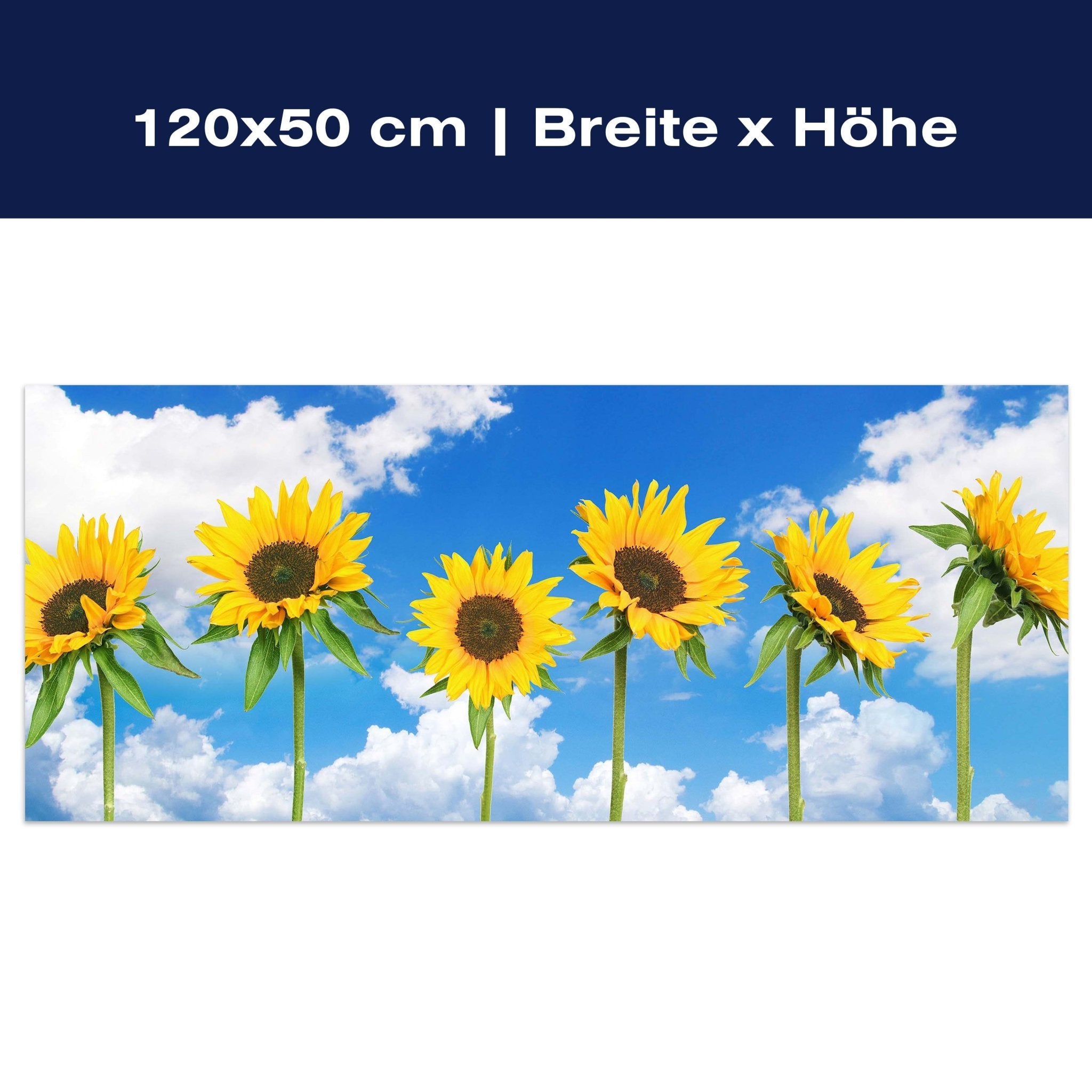 Leinwandbild Sonnenblumen M0705