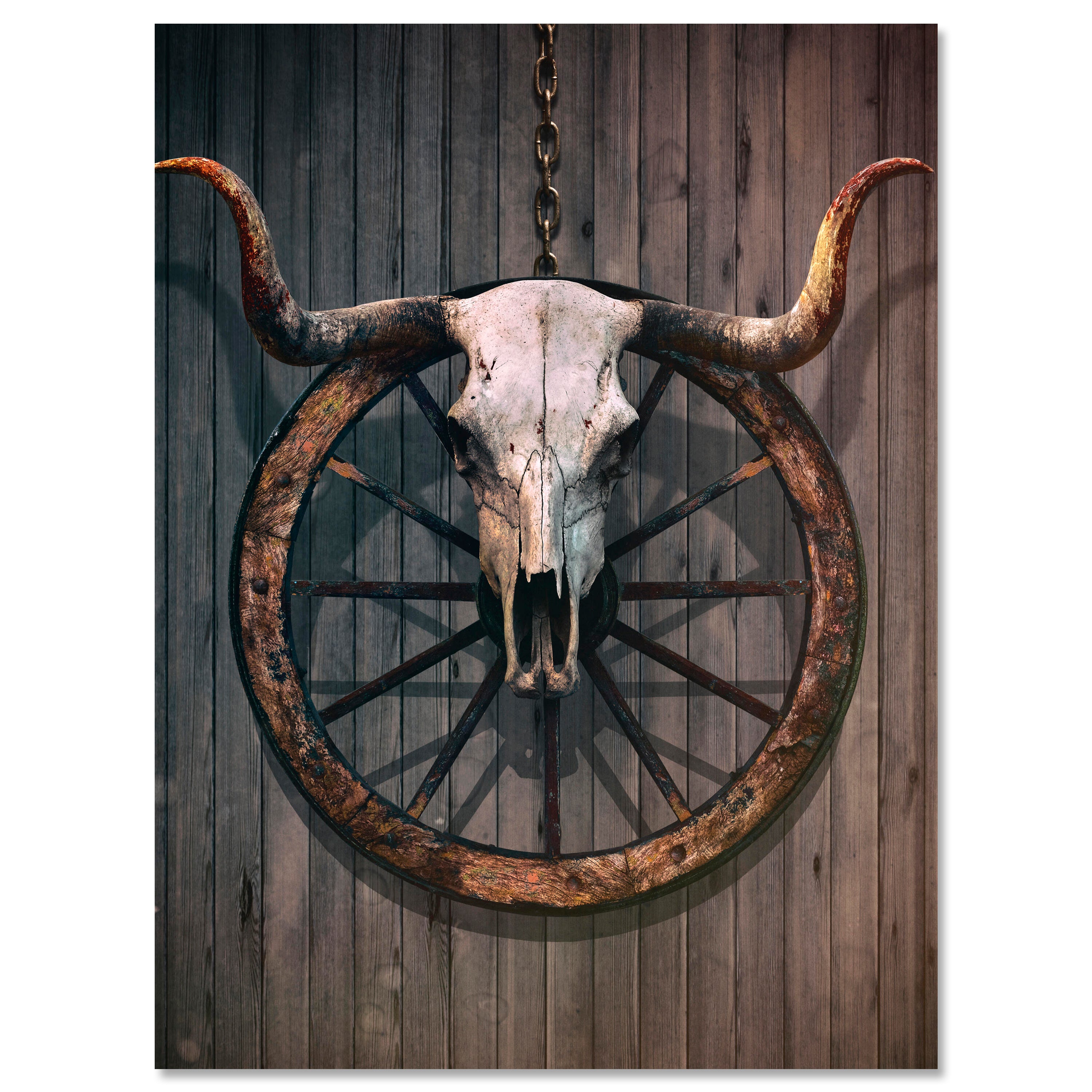 Leinwandbild Vintage, Stier Totenkopf, Hochformat M0756 kaufen - Bild 1