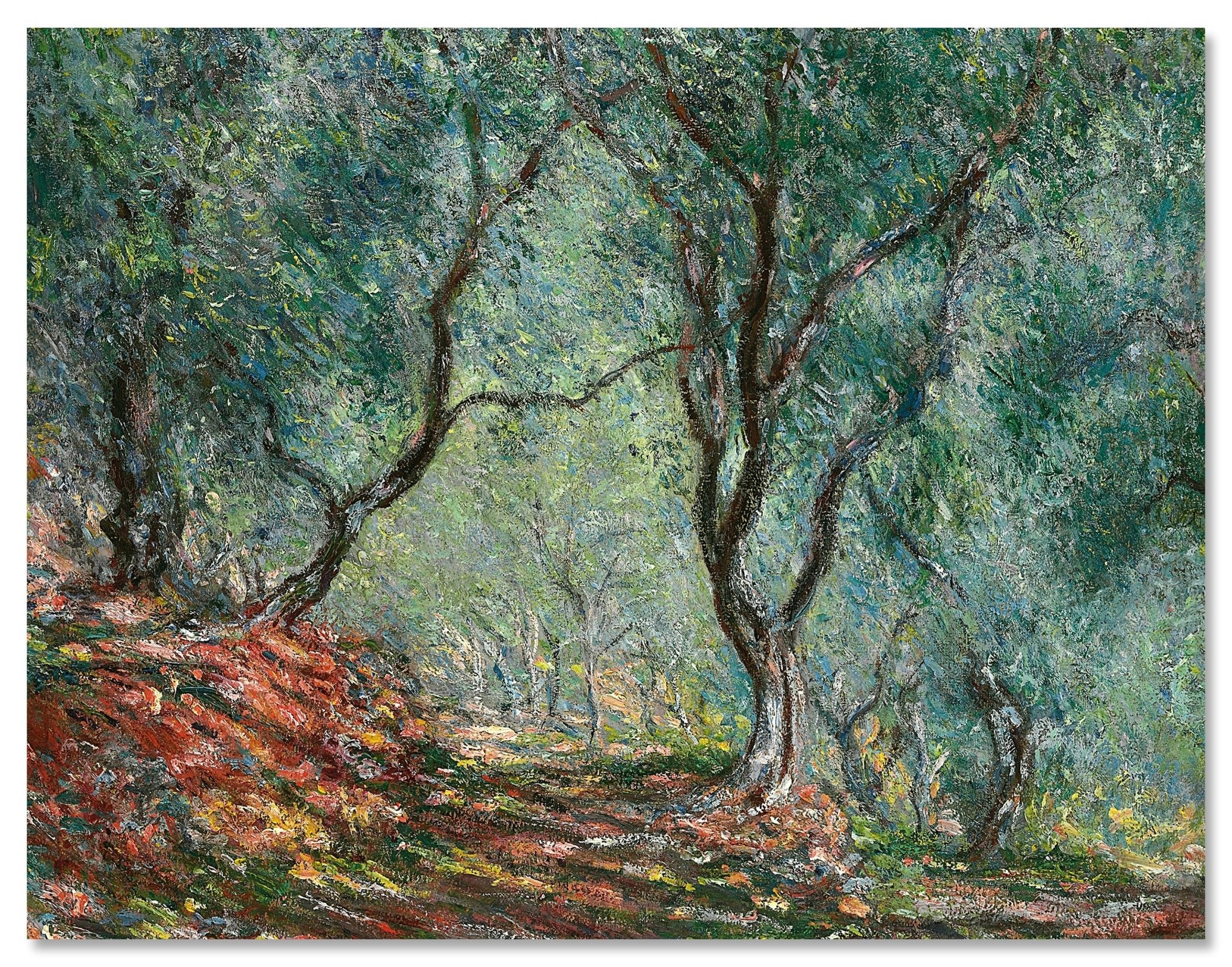 Leinwandbild Olive Trees in the Moreno Garden, Claude Monet M0871