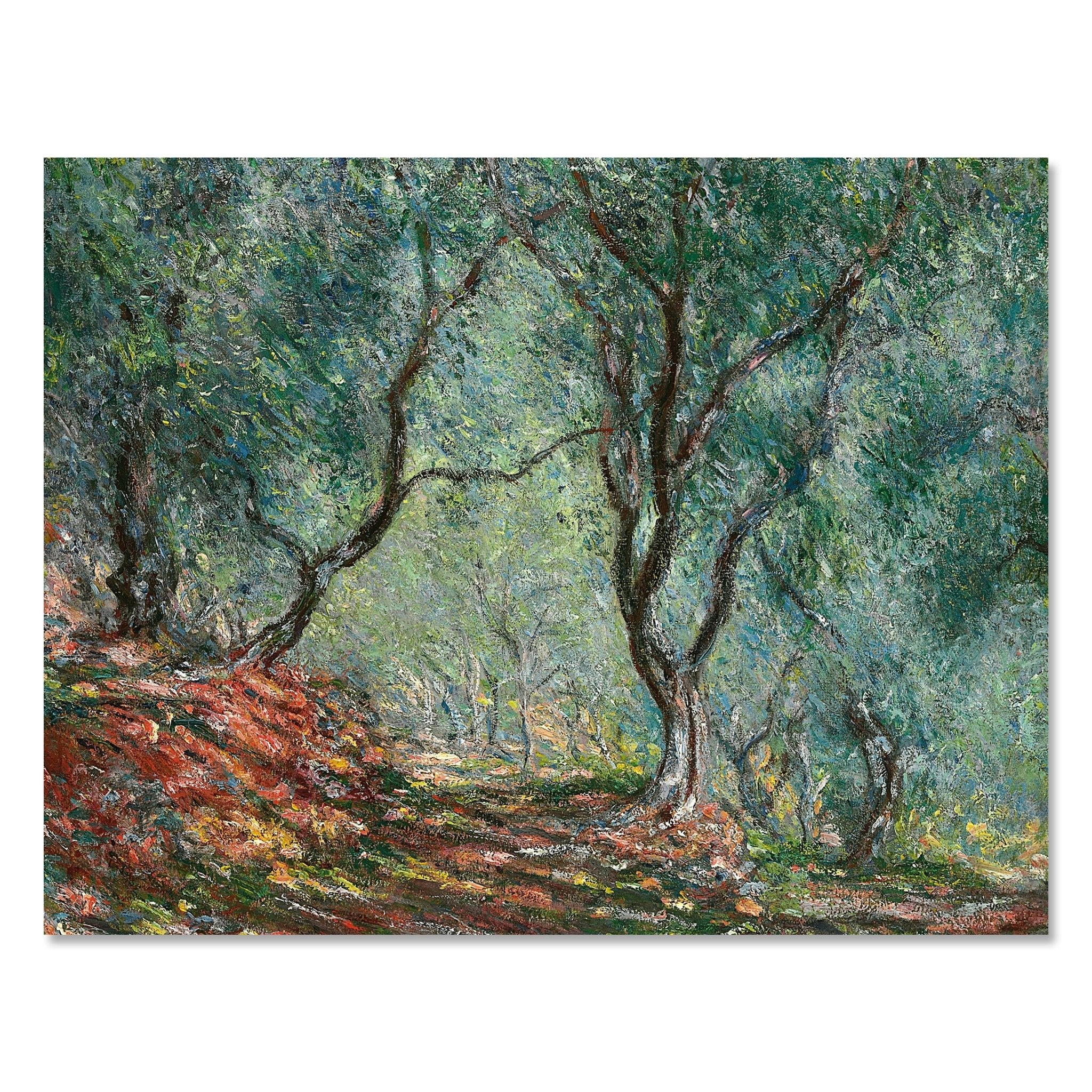 Leinwandbild Olive Trees in the Moreno Garden, Claude Monet M0871 kaufen - Bild 1