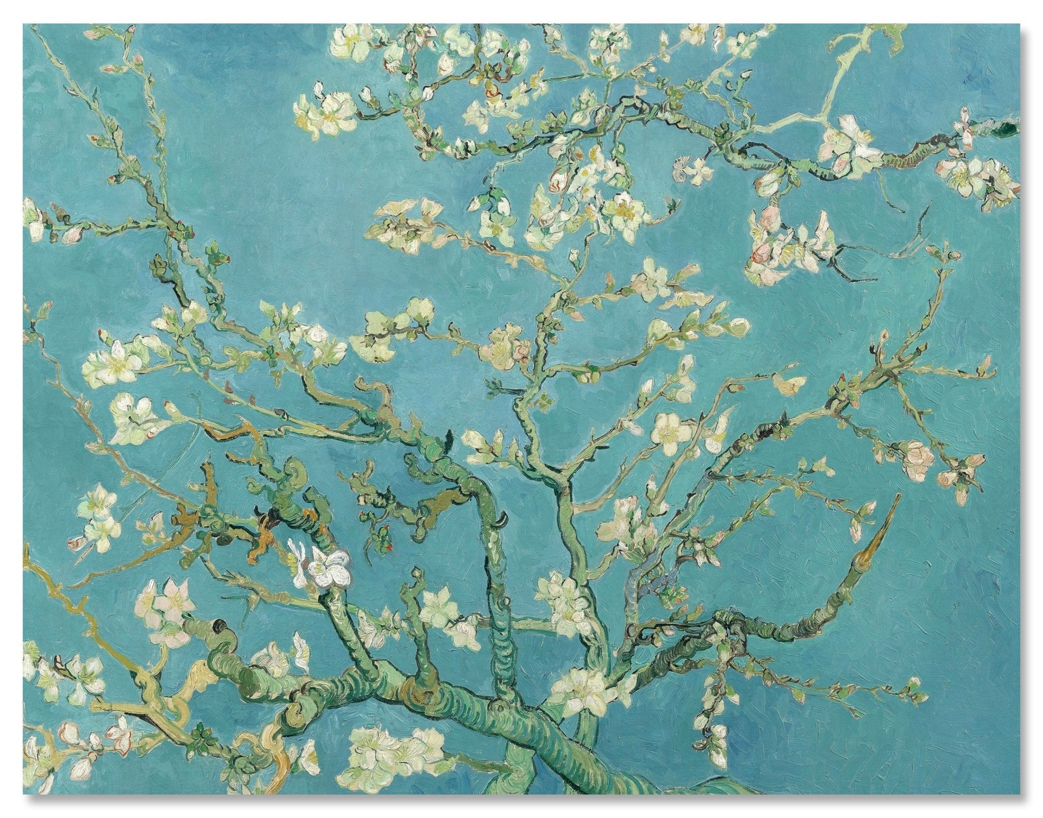 Leinwandbild Mandelblüte, Vincent van Gogh M0878