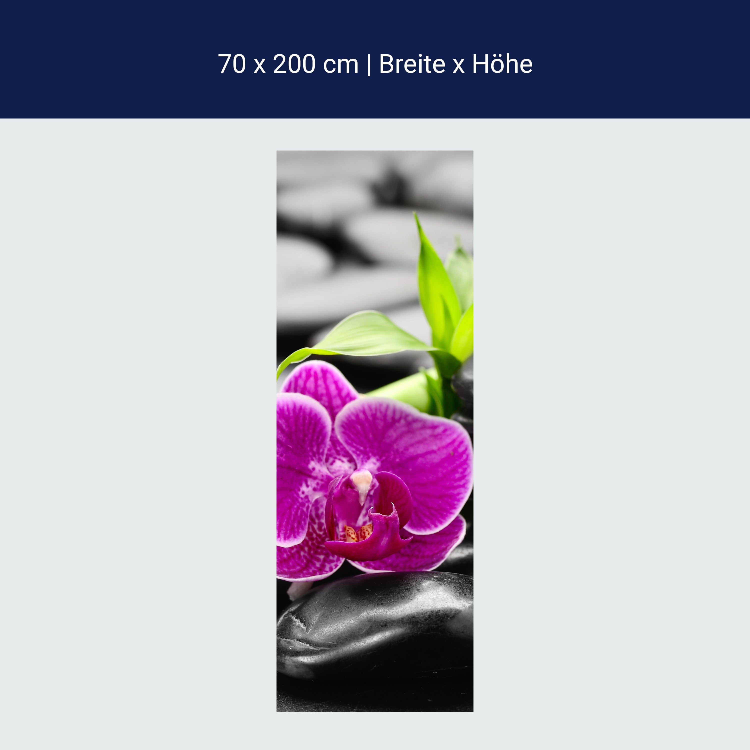 Türtapete Zen Basaltsteine und Orchidee M0954