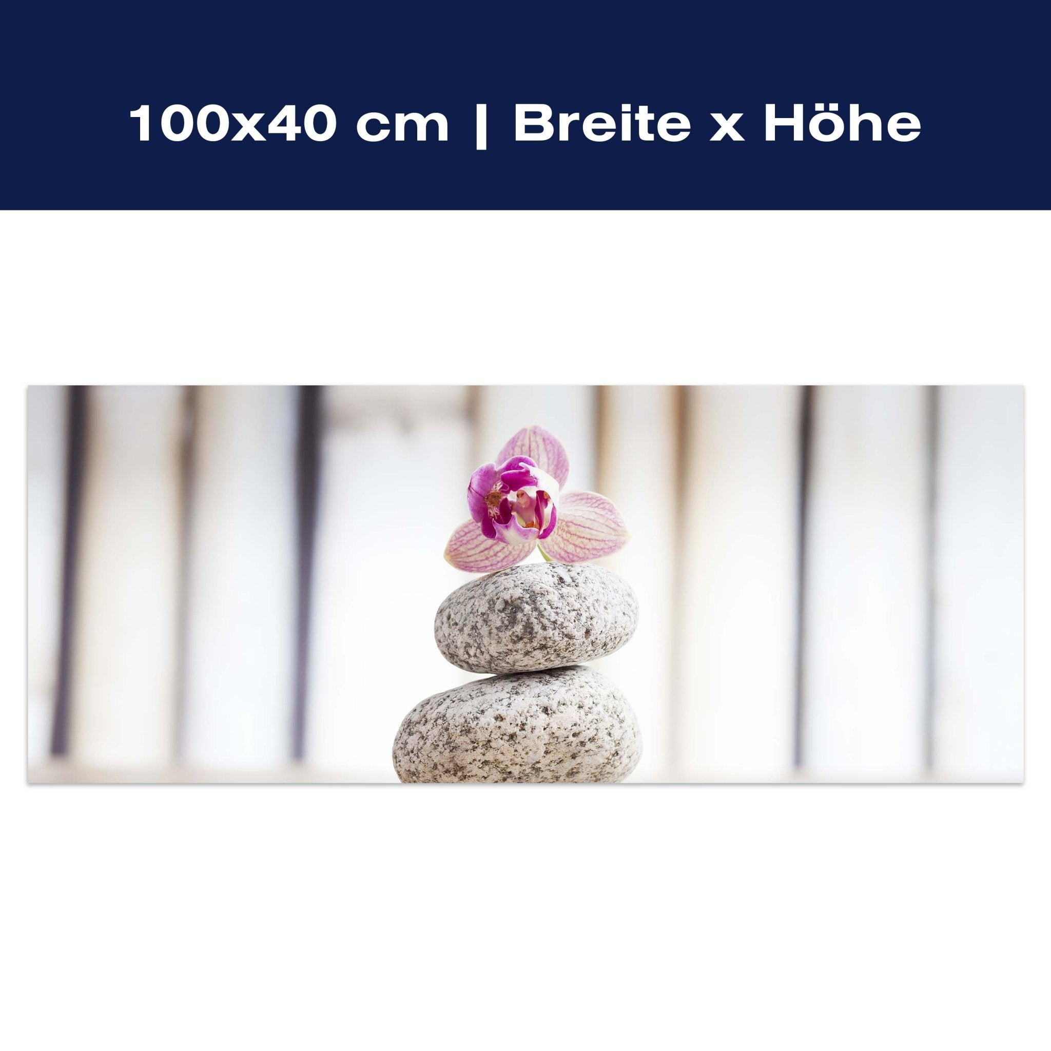 Leinwandbild Orchideen und weiße Steine - Wellness M0959