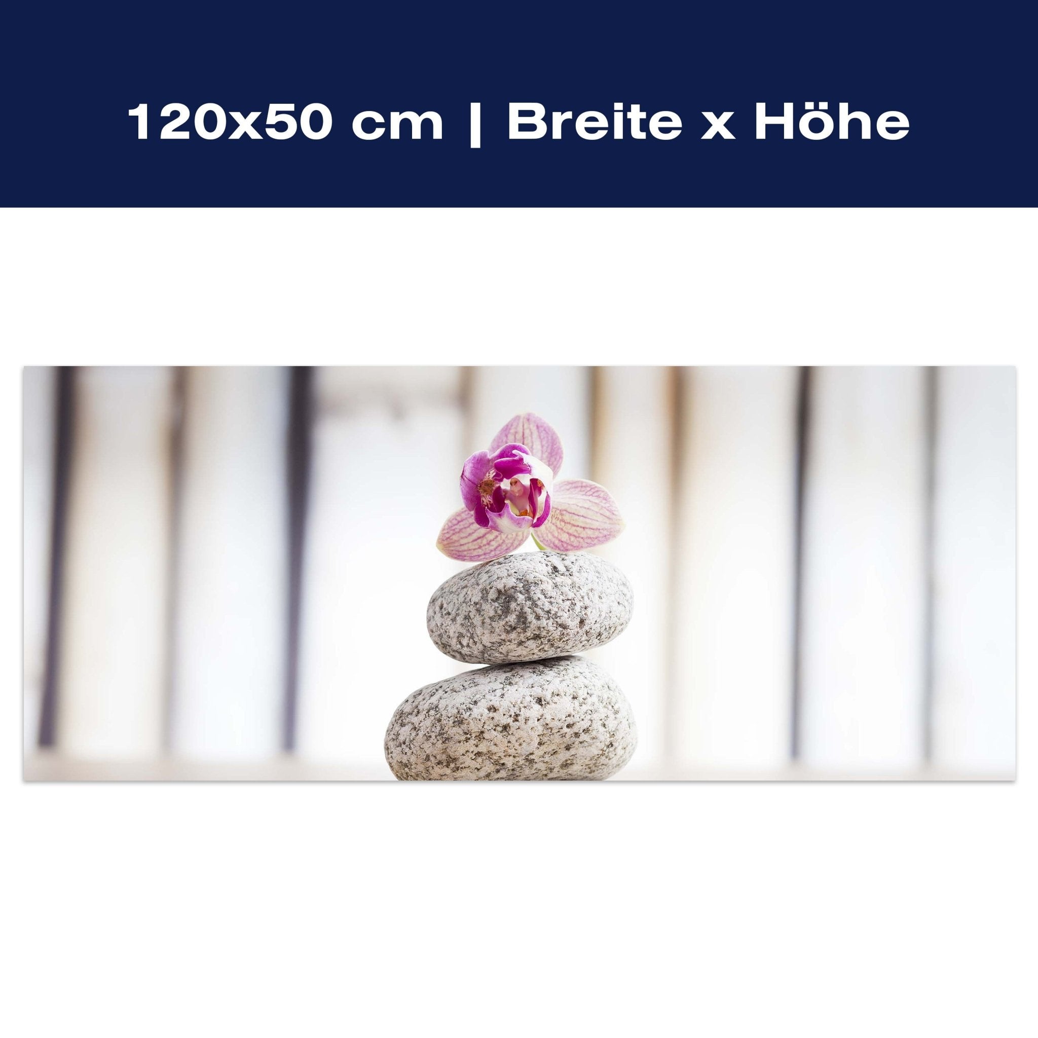 Leinwandbild Orchideen und weiße Steine - Wellness M0959