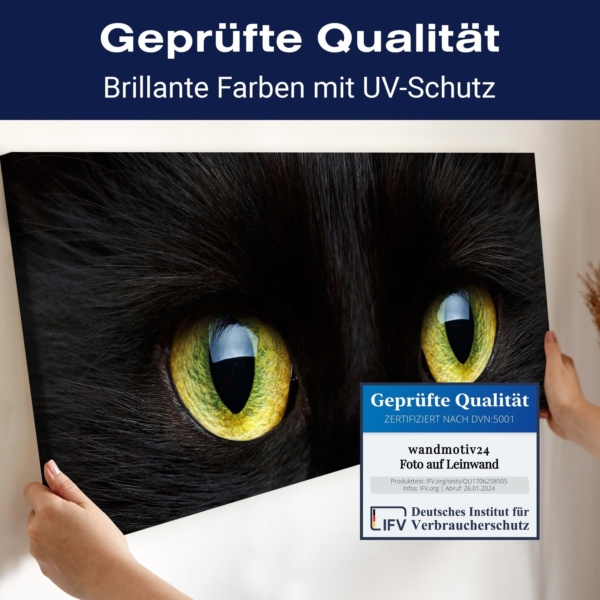 Leinwandbild Nahaufnahme der schwarzen Katze M1013 kaufen - Bild 4