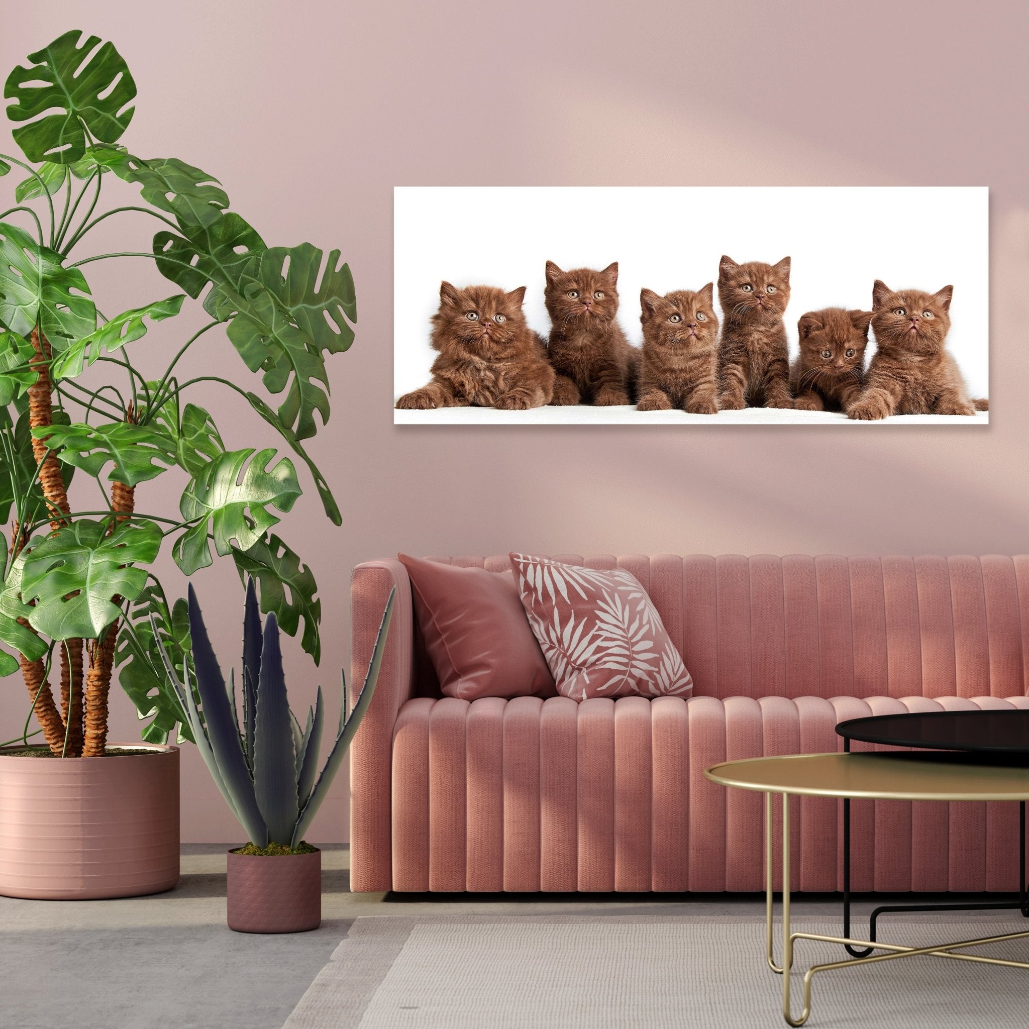 Leinwandbild Portrait von sechs braunen britischen Kätzchen M1022 kaufen - Bild 3