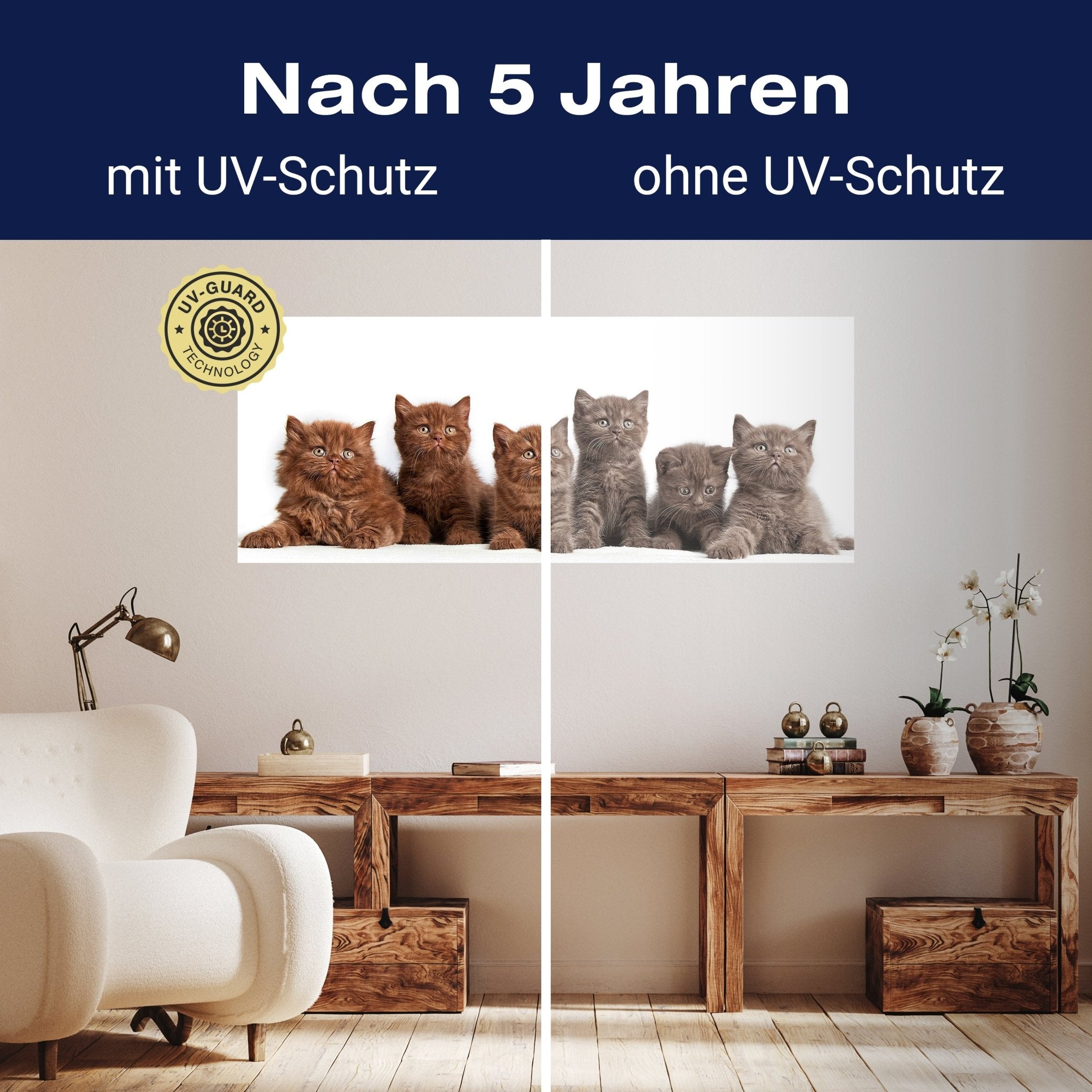 Leinwandbild Portrait von sechs braunen britischen Kätzchen M1022 kaufen - Bild 9