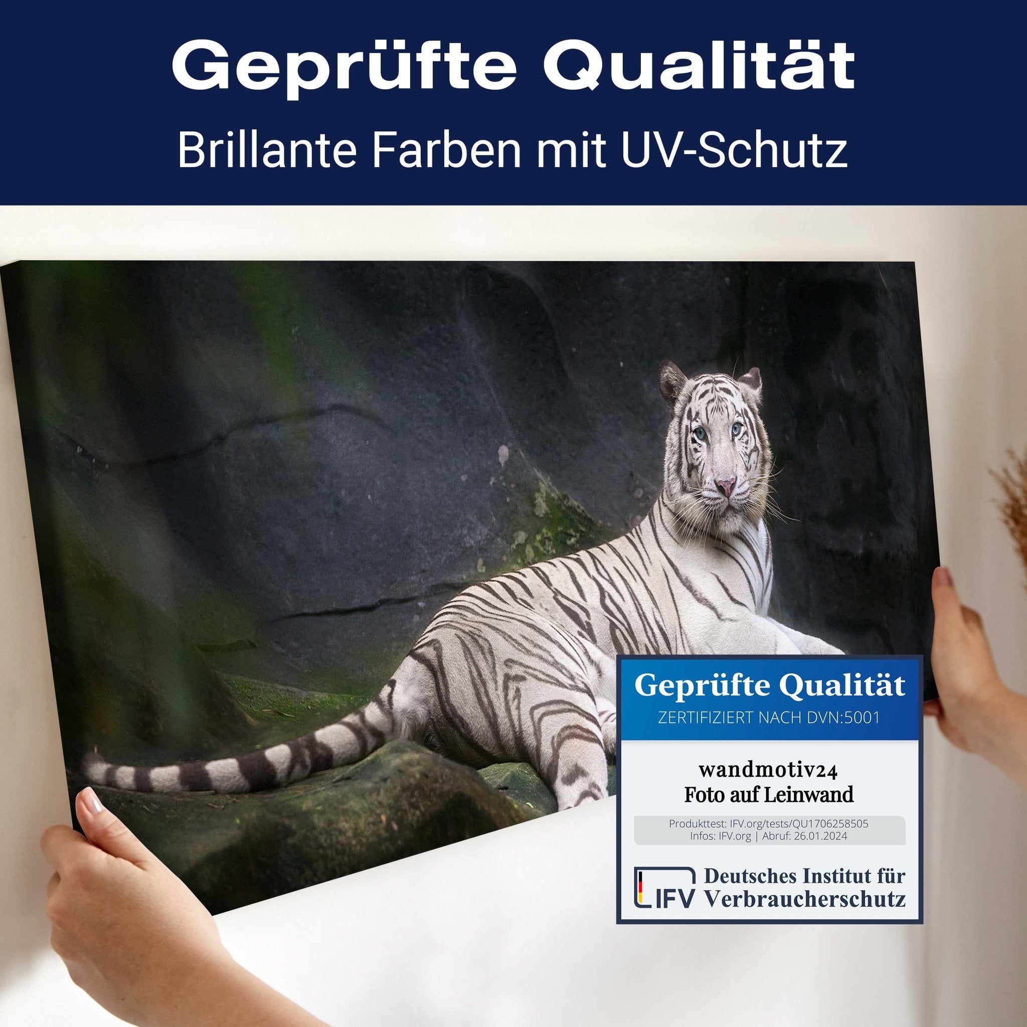 Leinwandbild Weißer Tiger sitzt in der Höhle M1027 kaufen - Bild 4