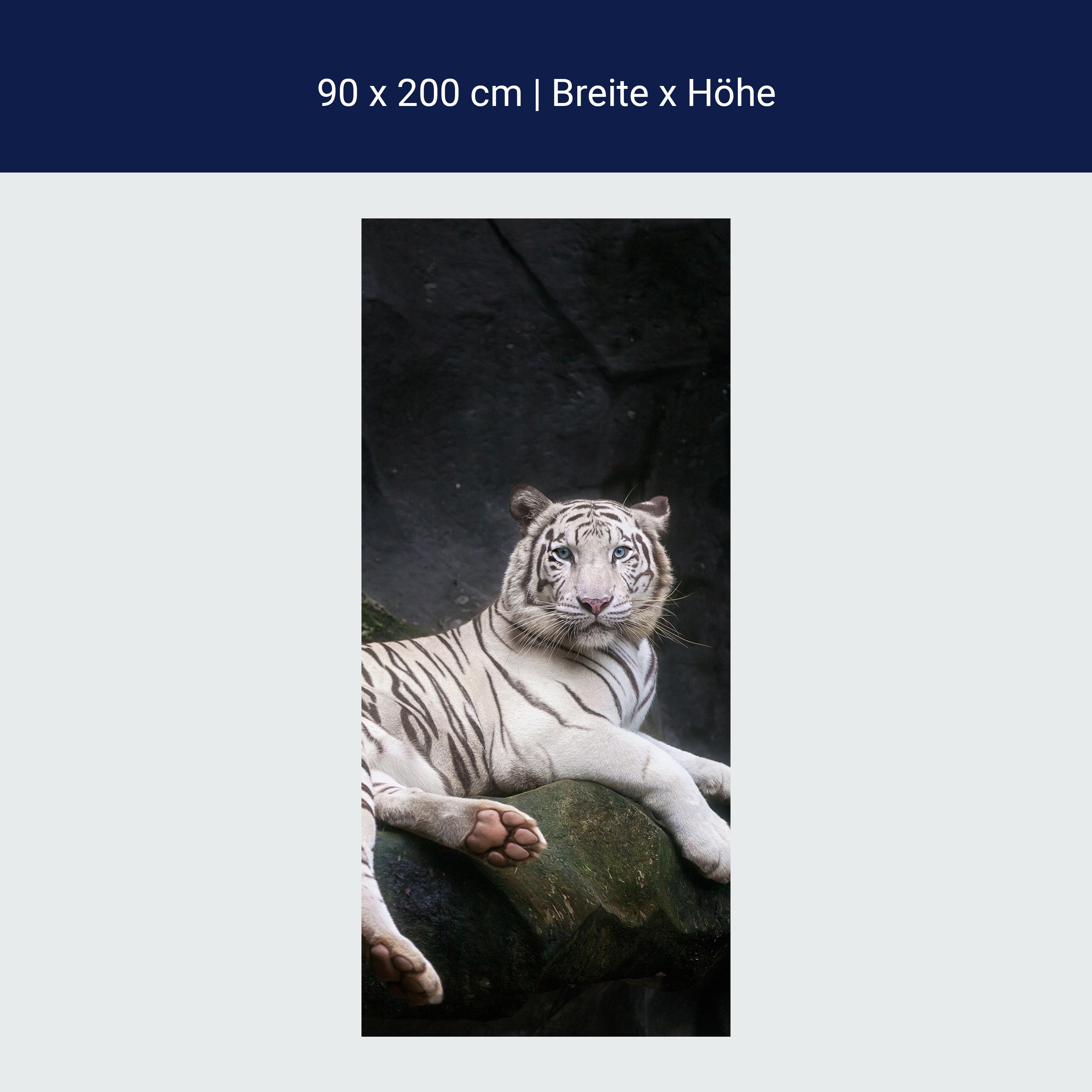 Türtapete Weißer Tiger sitzt in der Höhle M1027