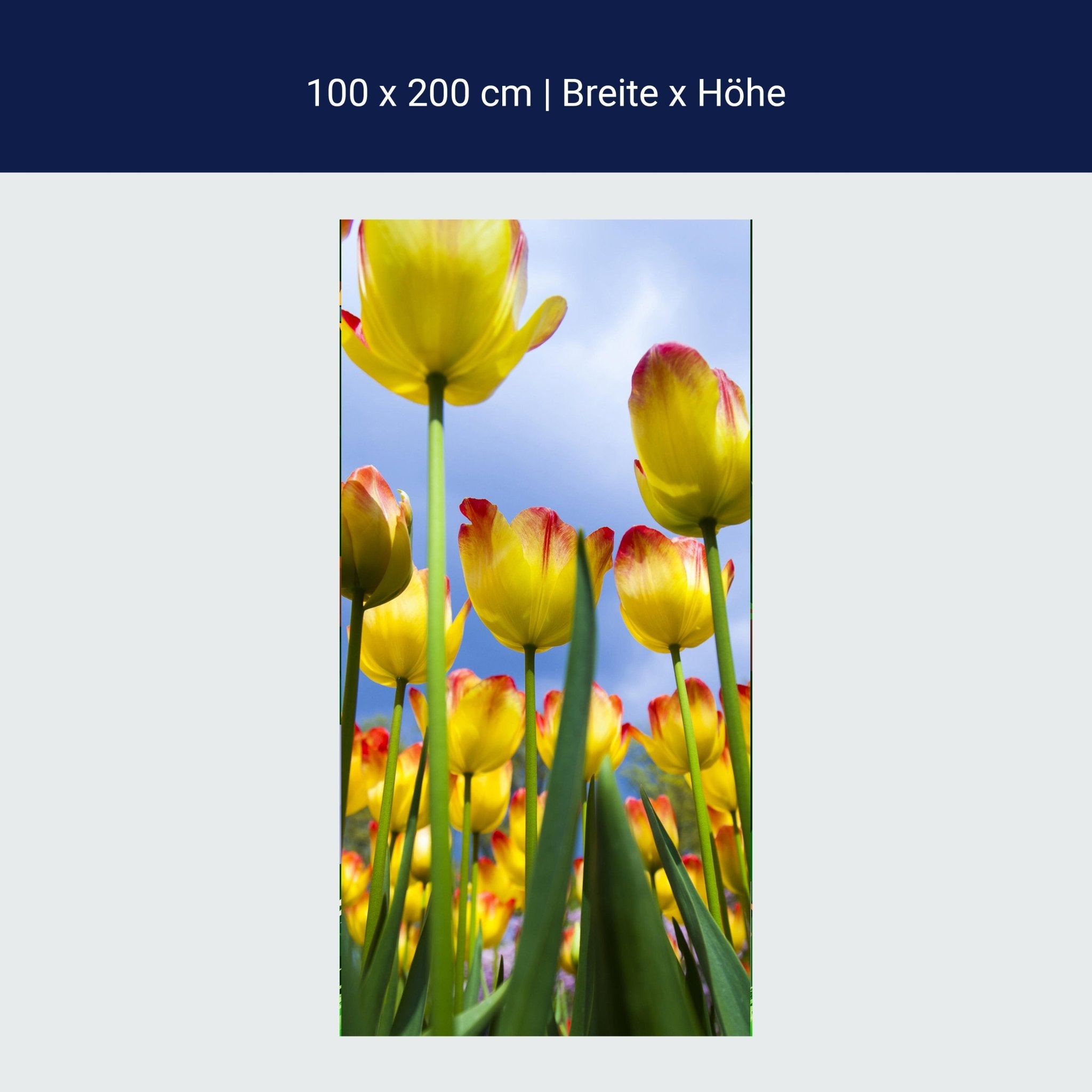 Türtapete Tulpen M1029