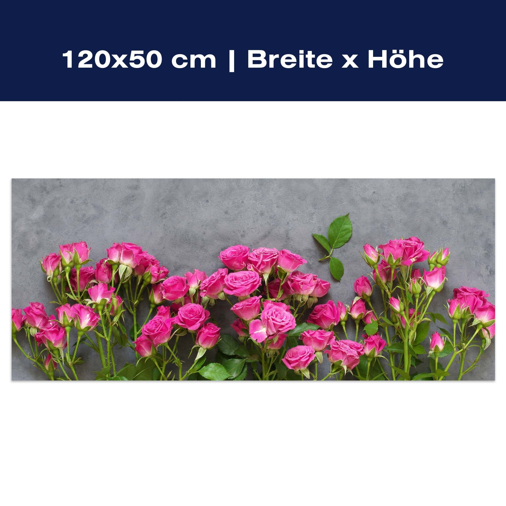 Leinwandbild Rosa Rosen auf dunkelgrauem Hintergrund M1033