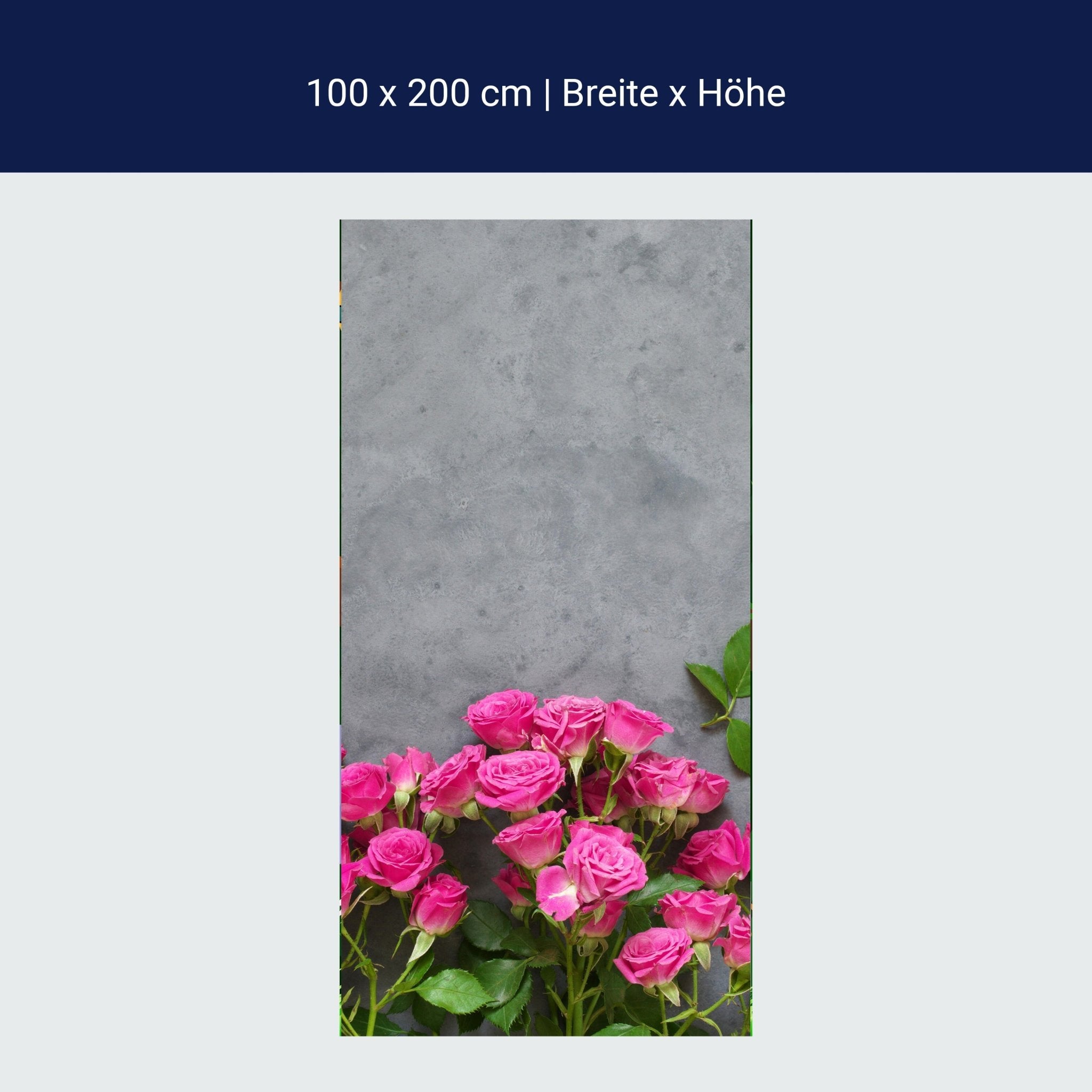 Türtapete Rosa Rosen auf dunkelgrauem Hintergrund M1033