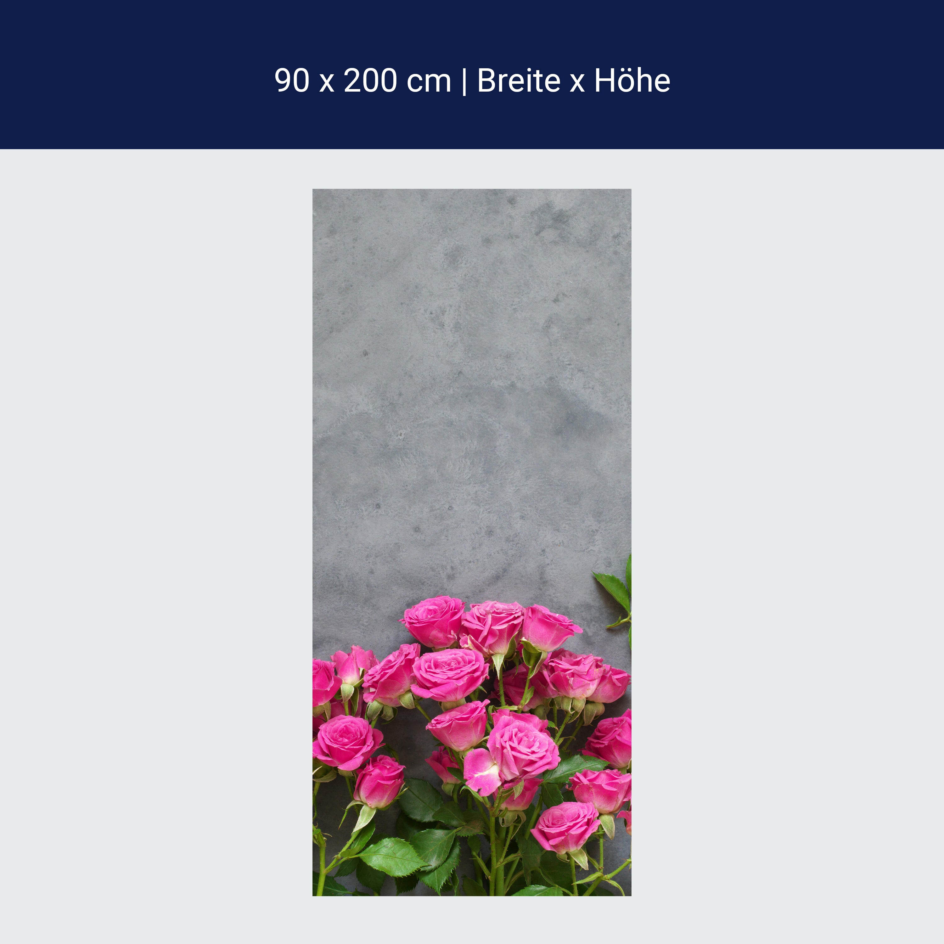 Türtapete Rosa Rosen auf dunkelgrauem Hintergrund M1033