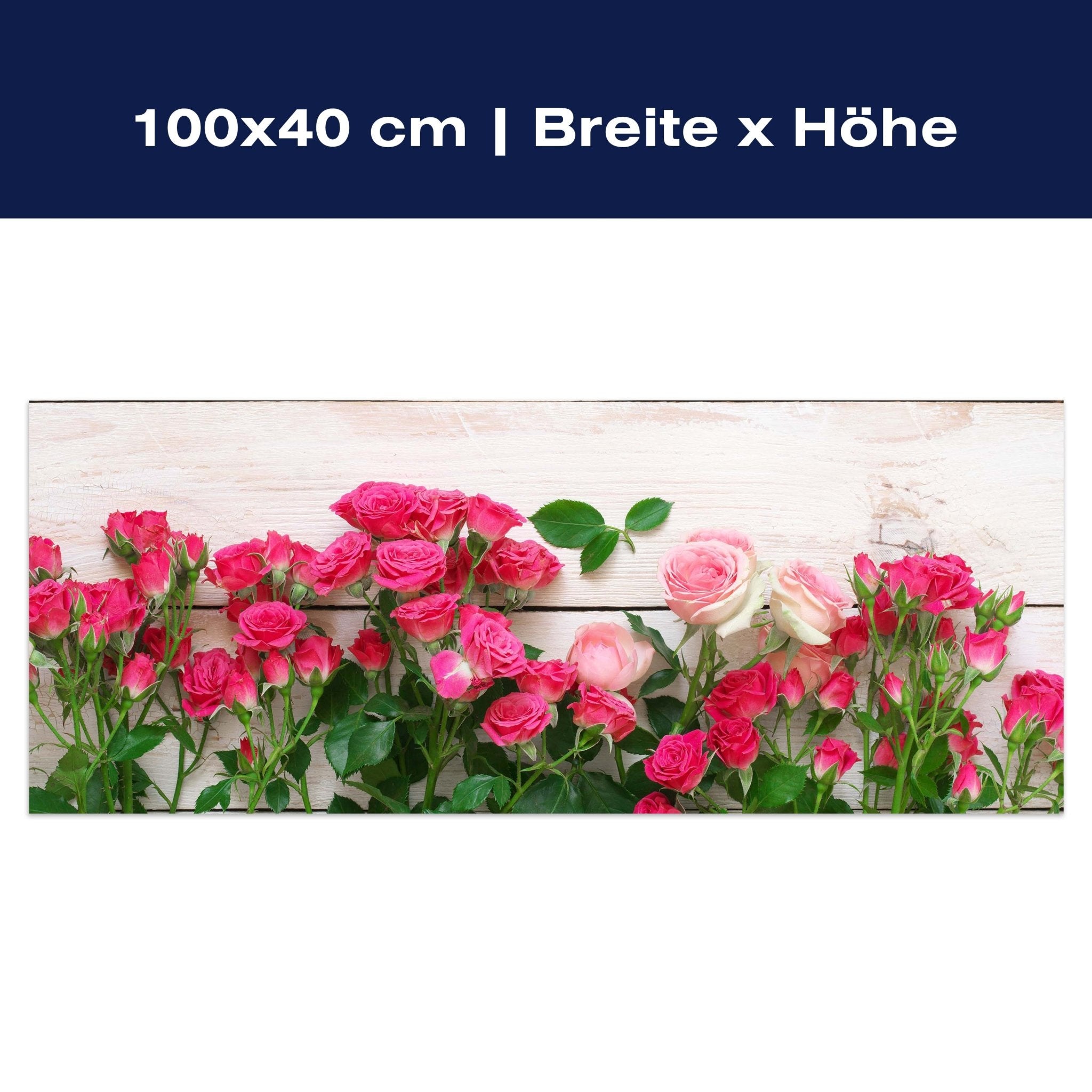 Leinwandbild Rosa und karminrote Rosen M1034