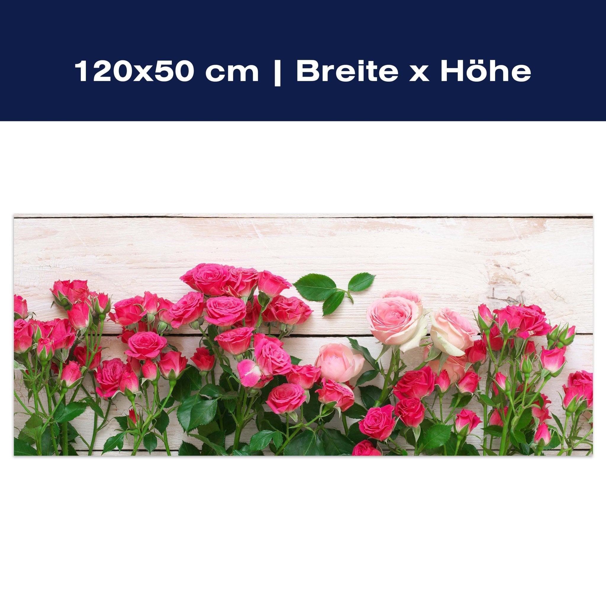 Leinwandbild Rosa und karminrote Rosen M1034