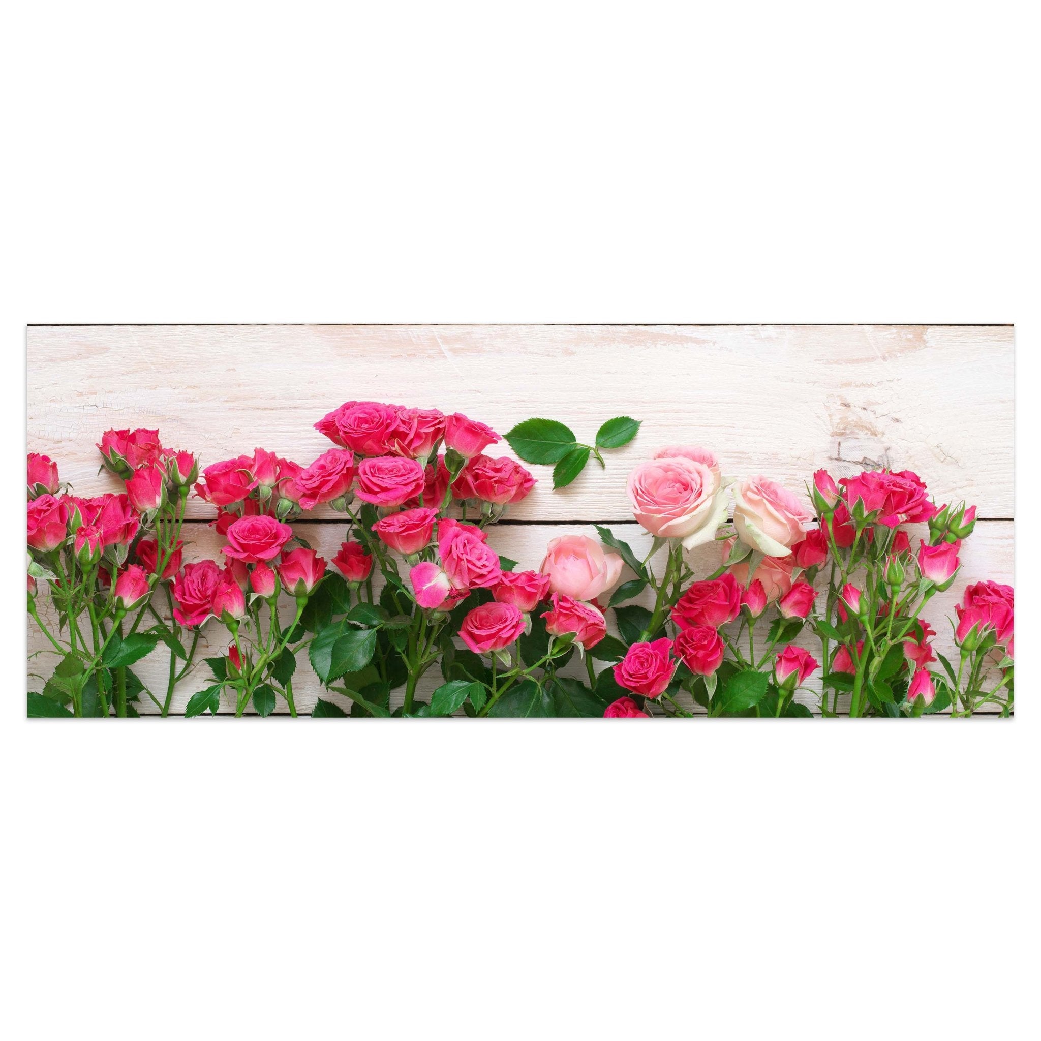 Leinwandbild Rosa und karminrote Rosen M1034 kaufen - Bild 1