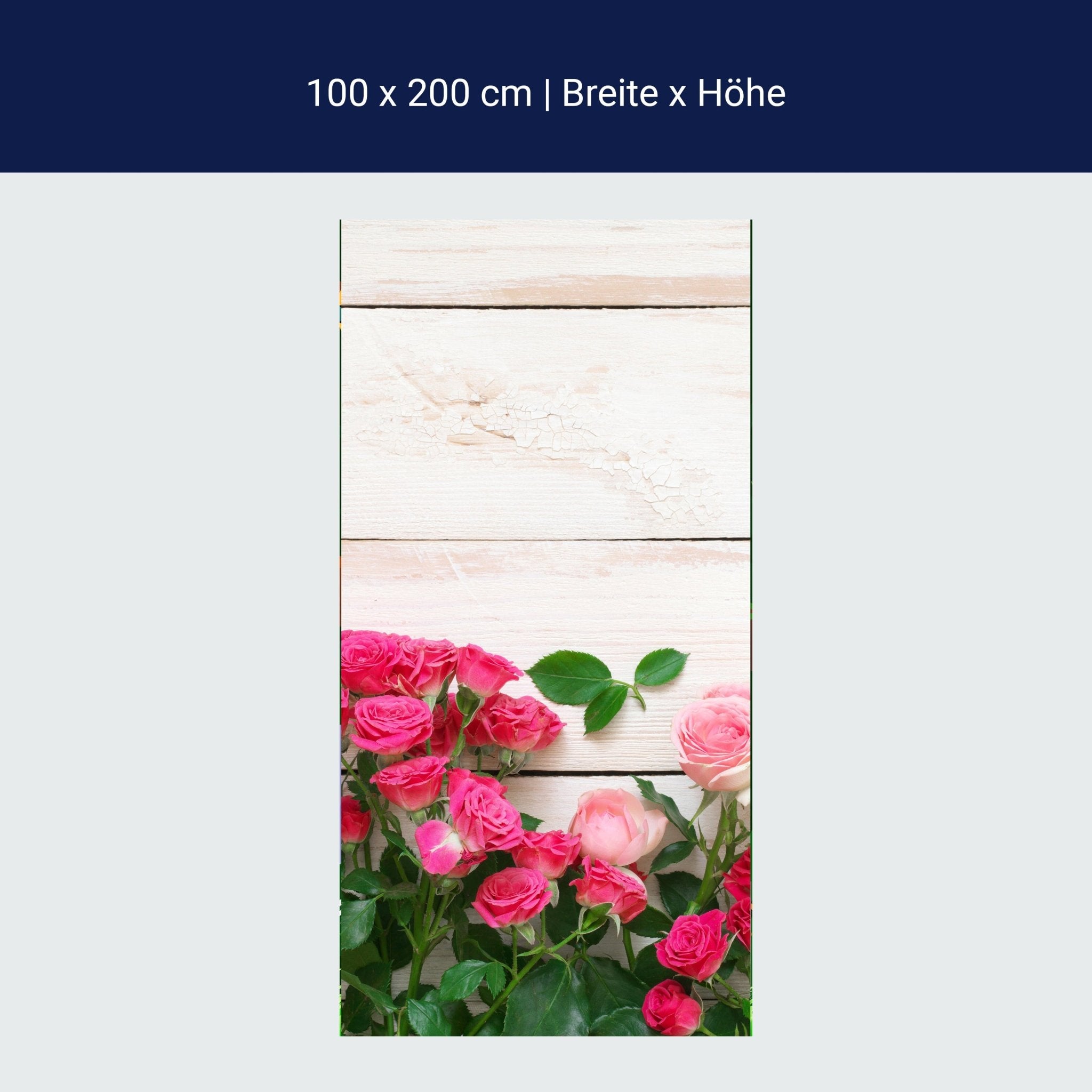 Türtapete Rosa und karminrote Rosen M1034