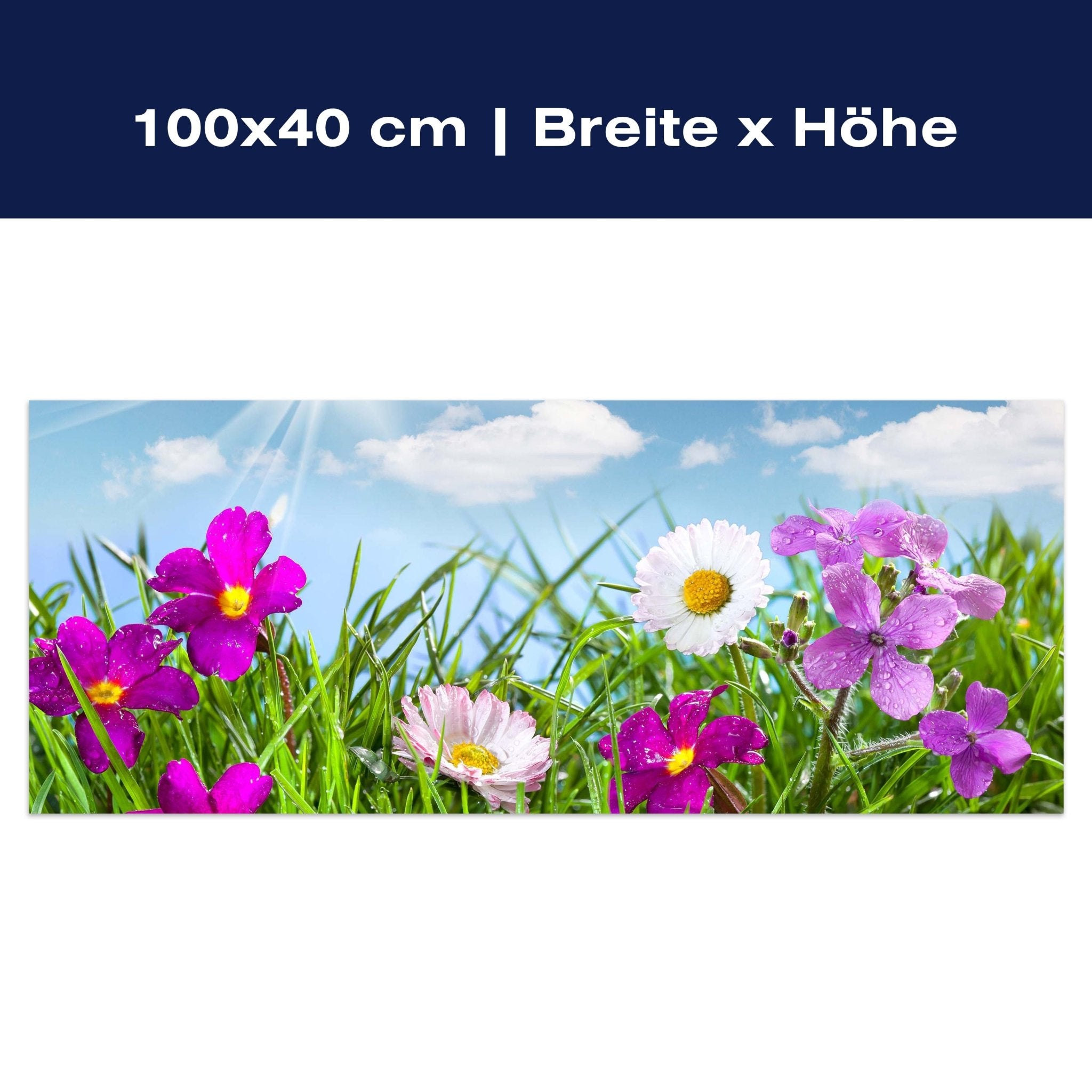 Leinwandbild Blühende Wiese unter blauem Himmel M1044