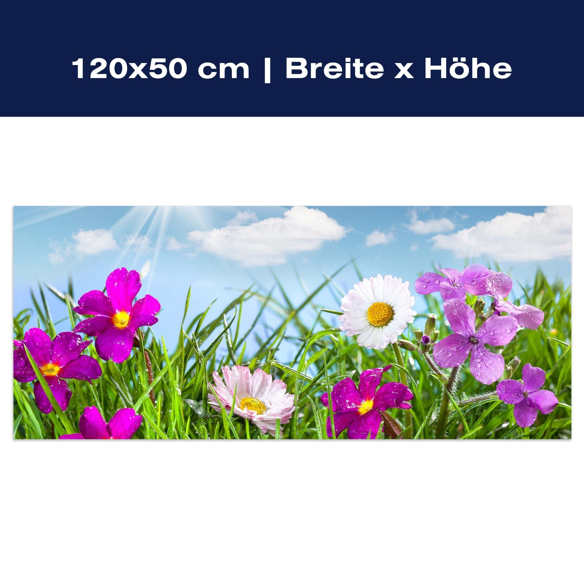 Leinwandbild Blühende Wiese unter blauem Himmel M1044