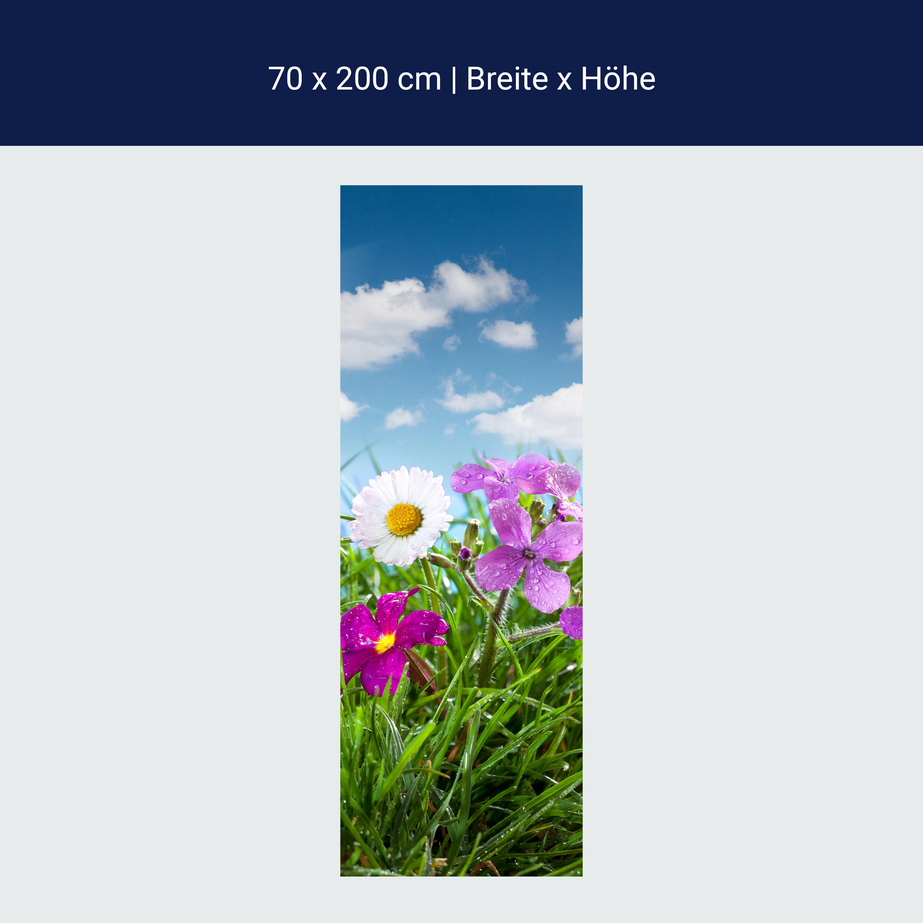 Türtapete Blühende Wiese unter blauem Himmel M1044