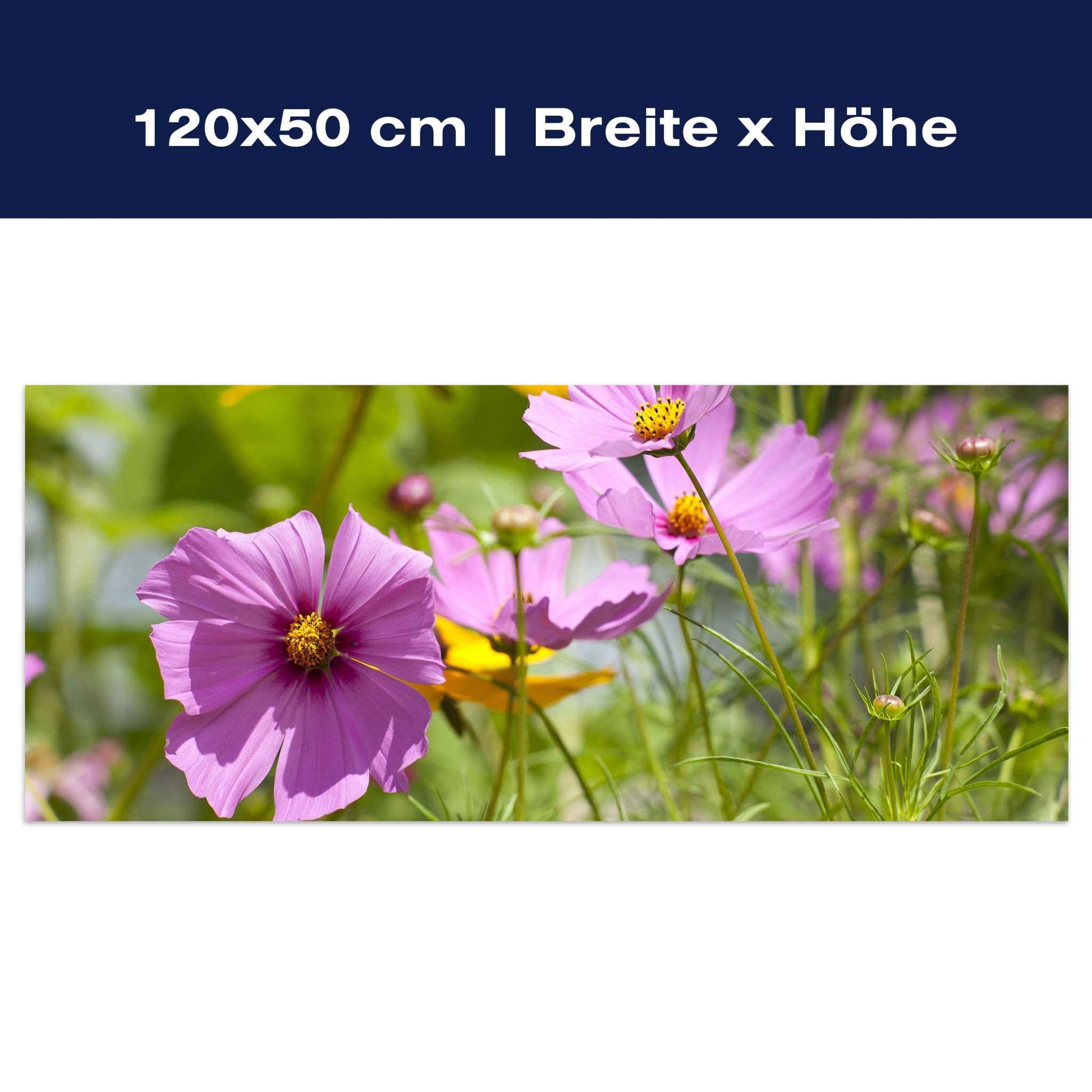 Leinwandbild Schöne Frühlingsblumen M1048