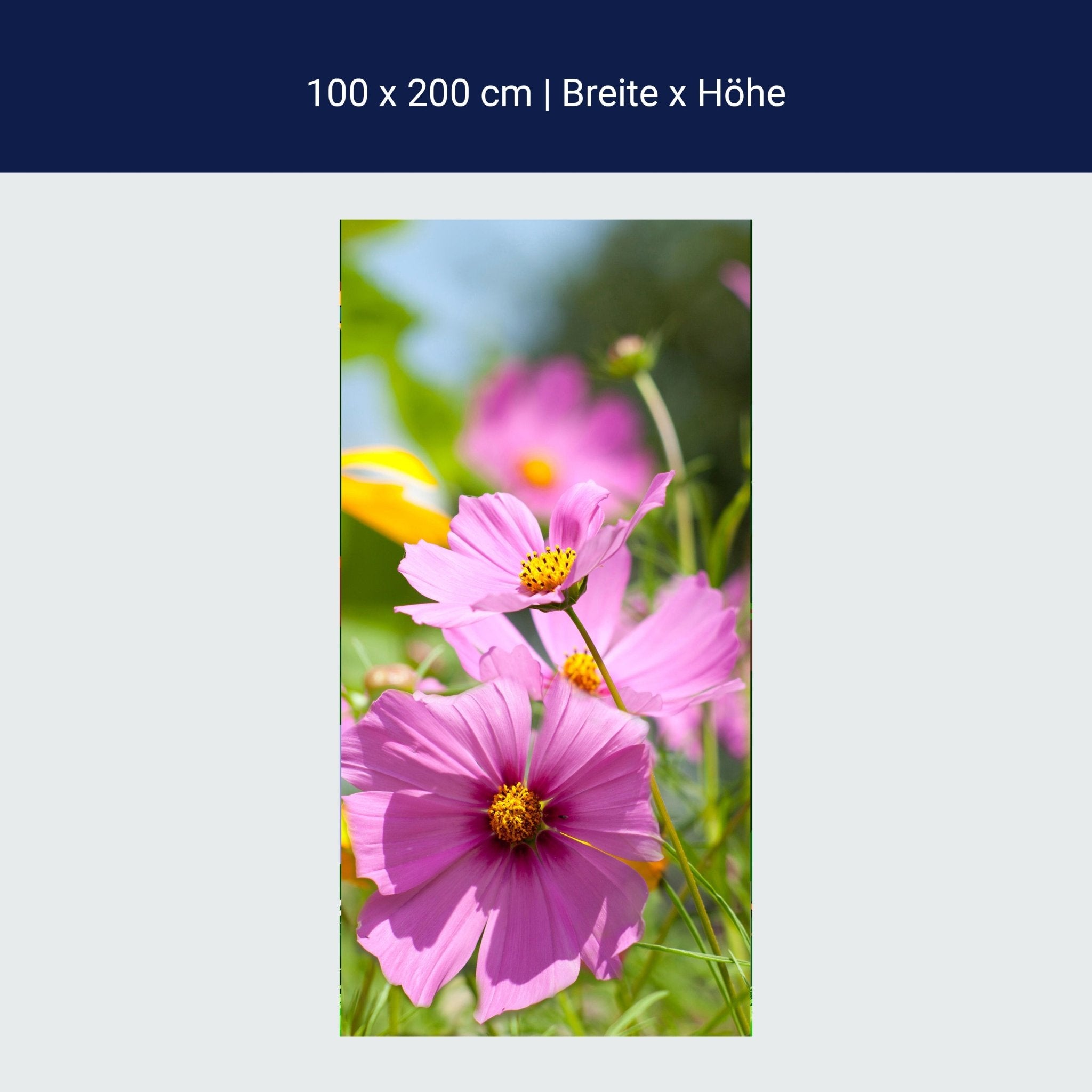 Türtapete Schöne Frühlingsblumen M1048