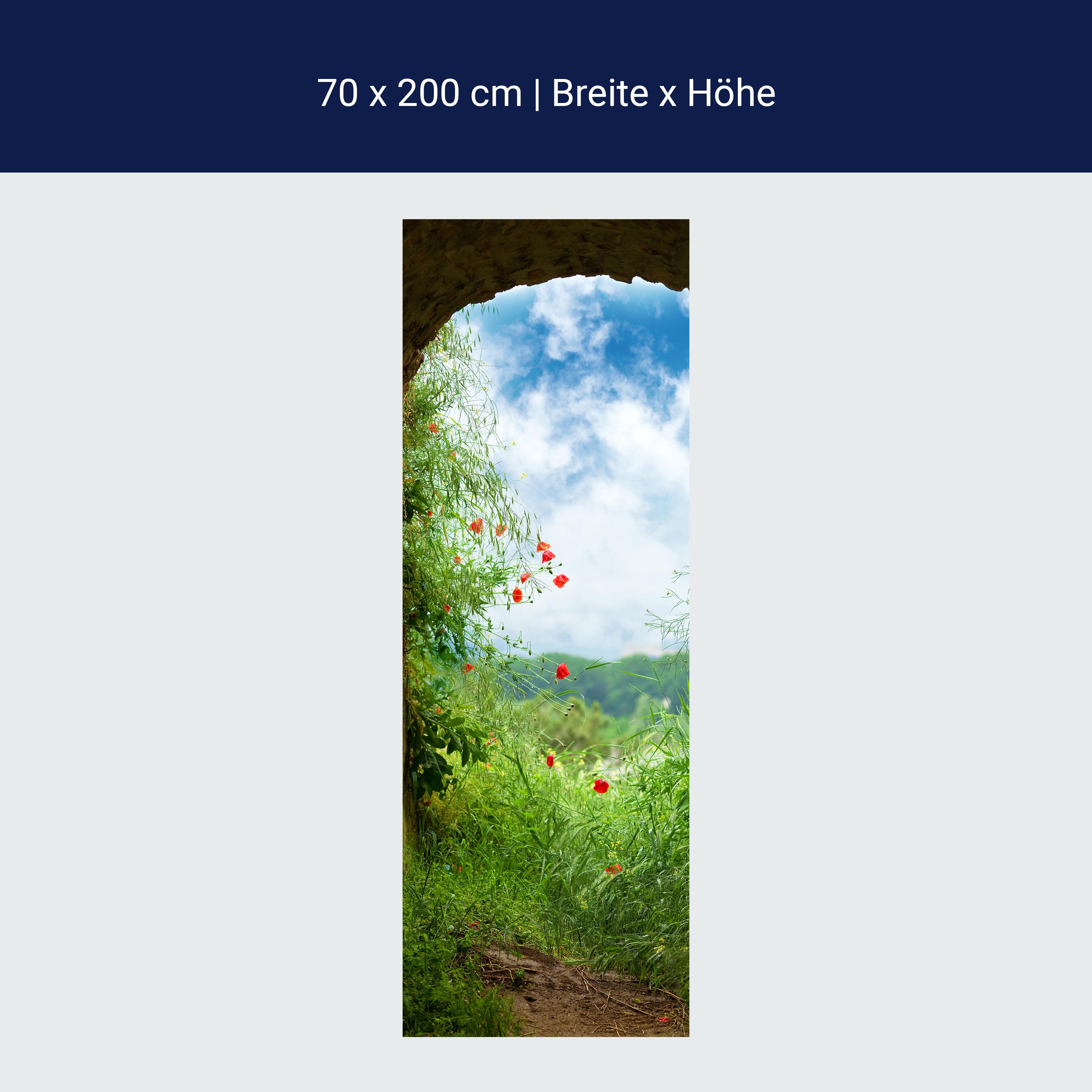 Türtapete Blick aus Tunnel, Wiese, Natur, Blumen M1074