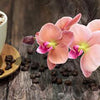 Küchenrückwand Kaffee Orchidee Schokolade Braun M1085